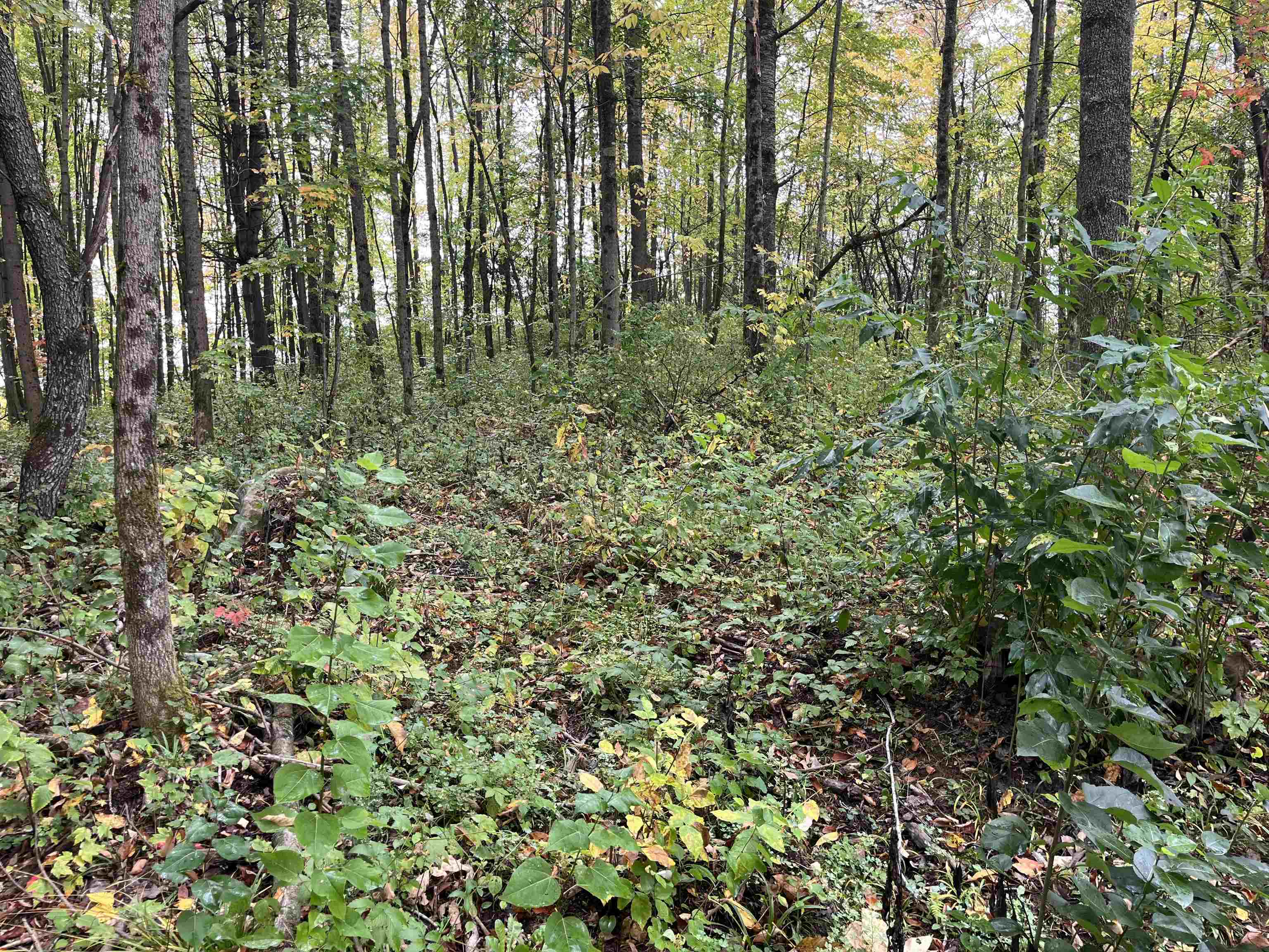 001 Duck Pond Road Lot #1