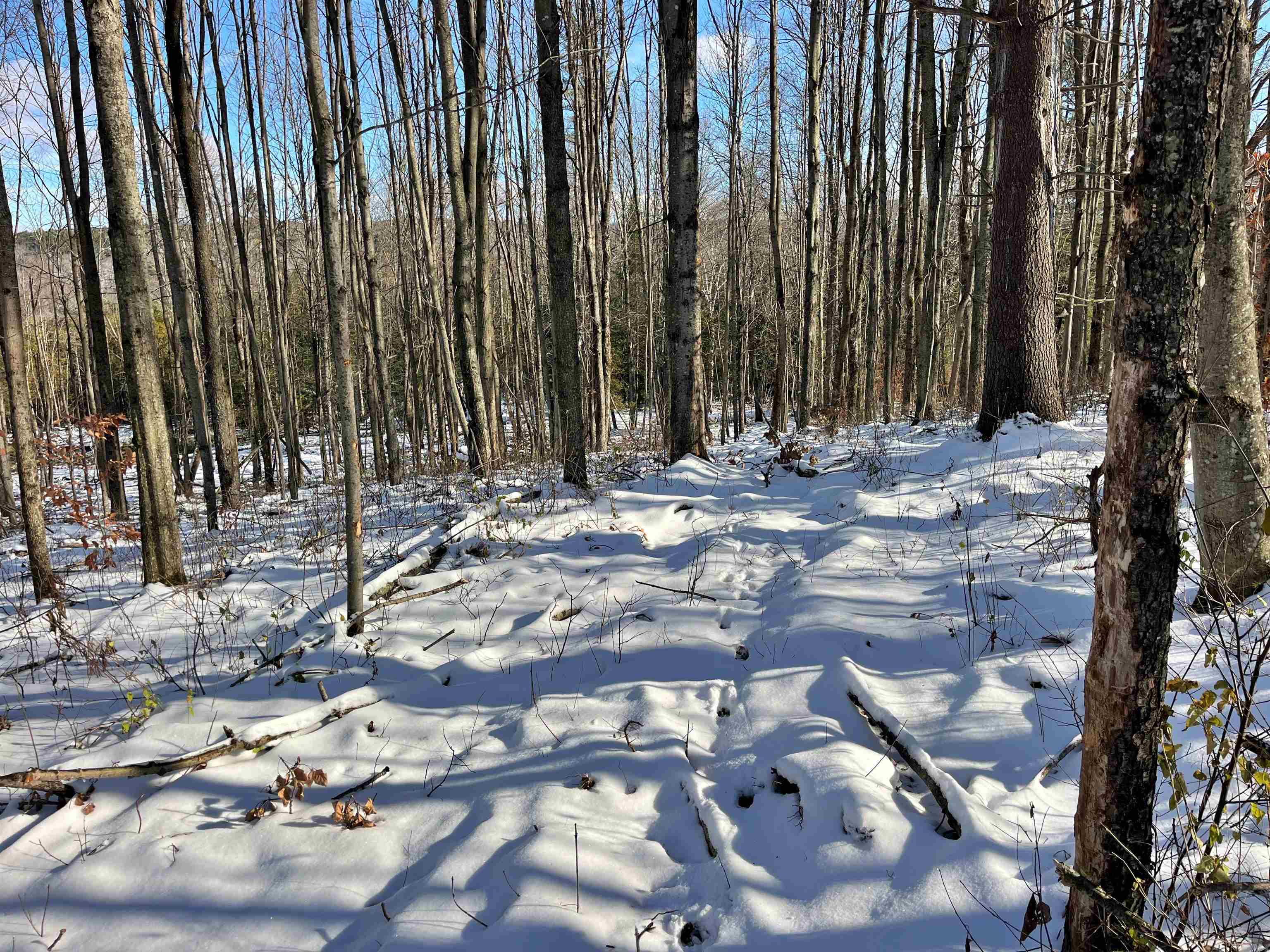 001 Duck Pond Road Lot #1