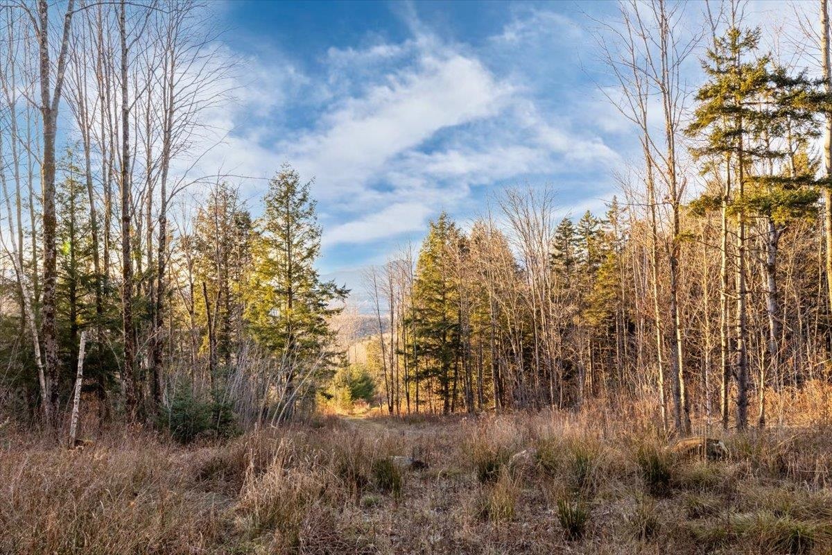 00 Bear Creek Lane