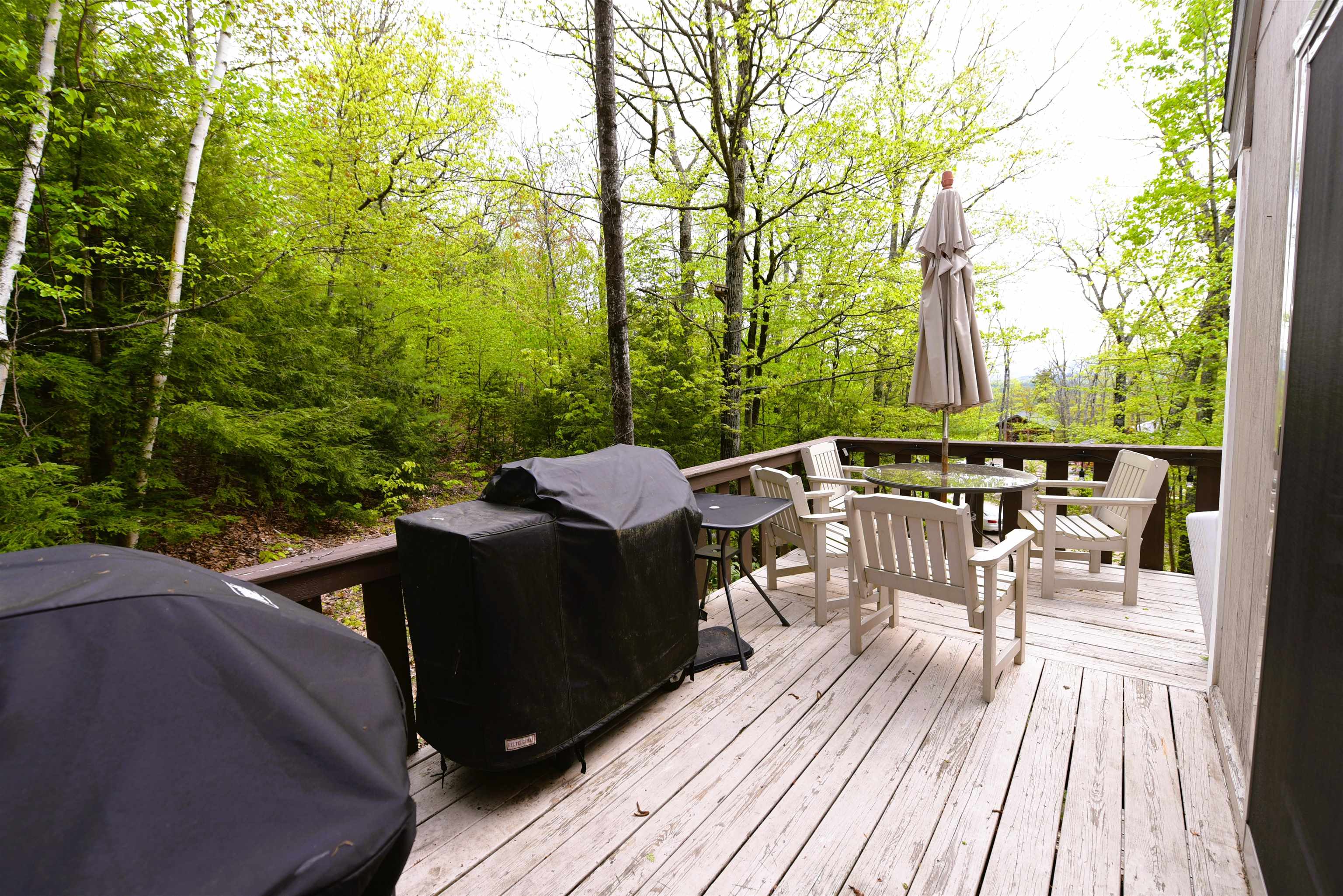5 Chocorua View Drive