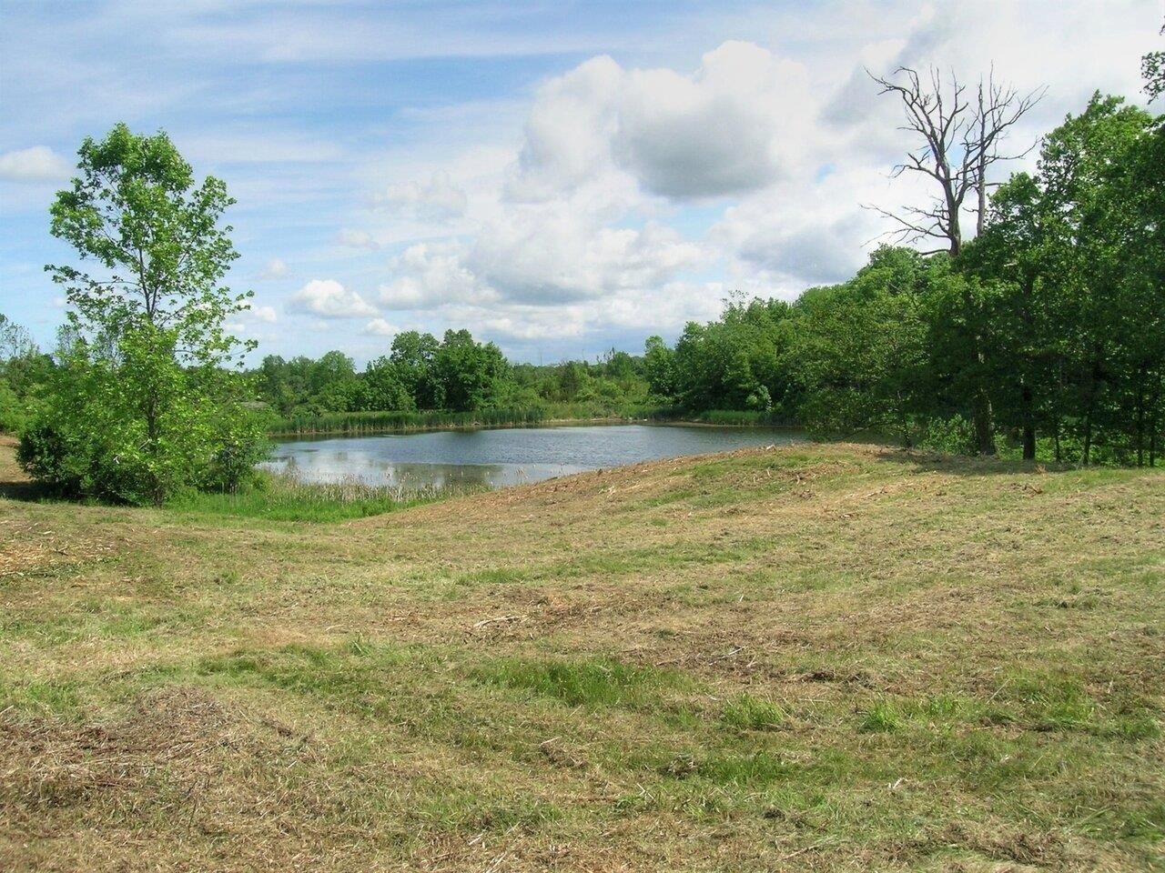 0 South Bingham Street