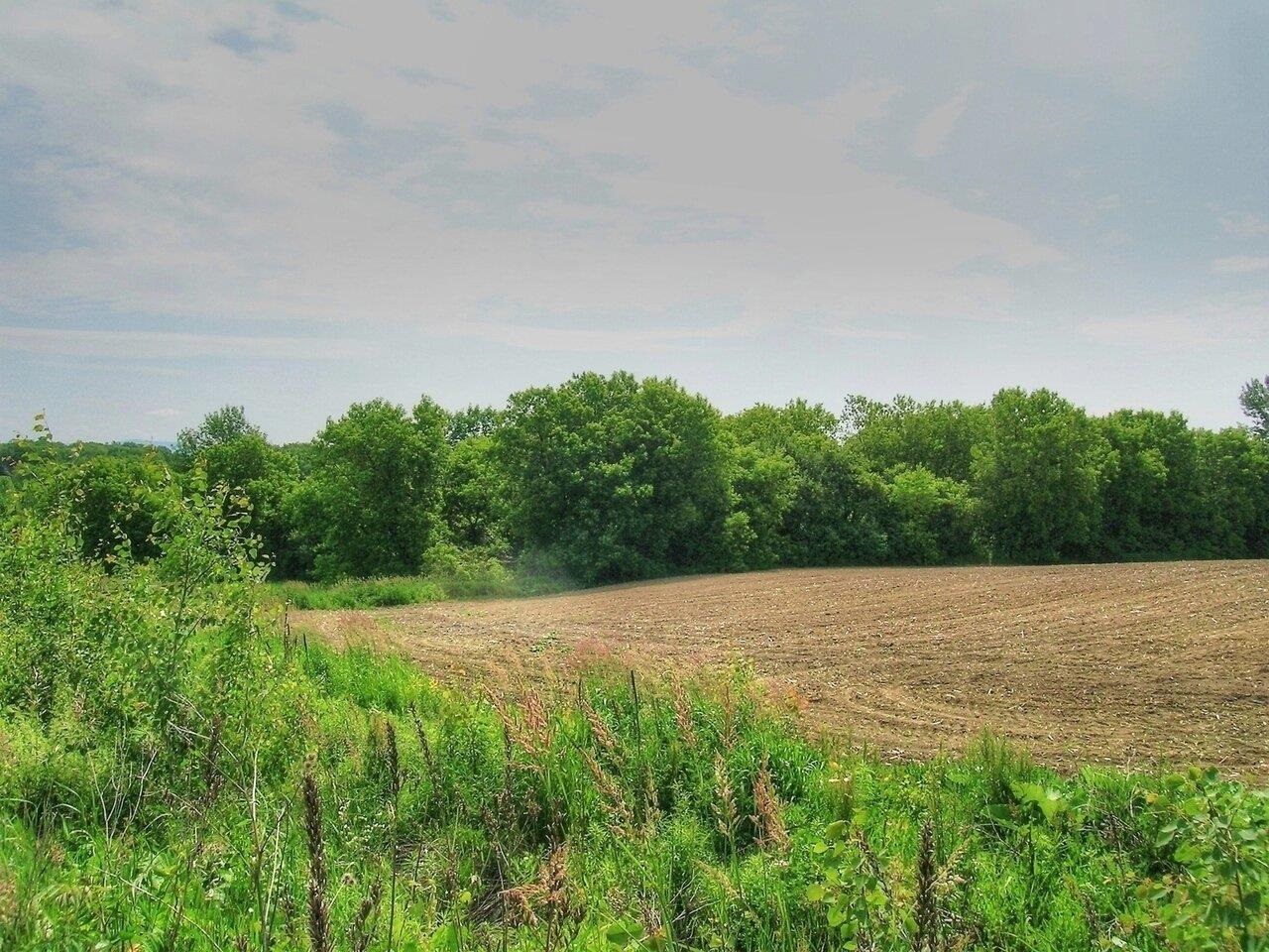 0 South Bingham Street