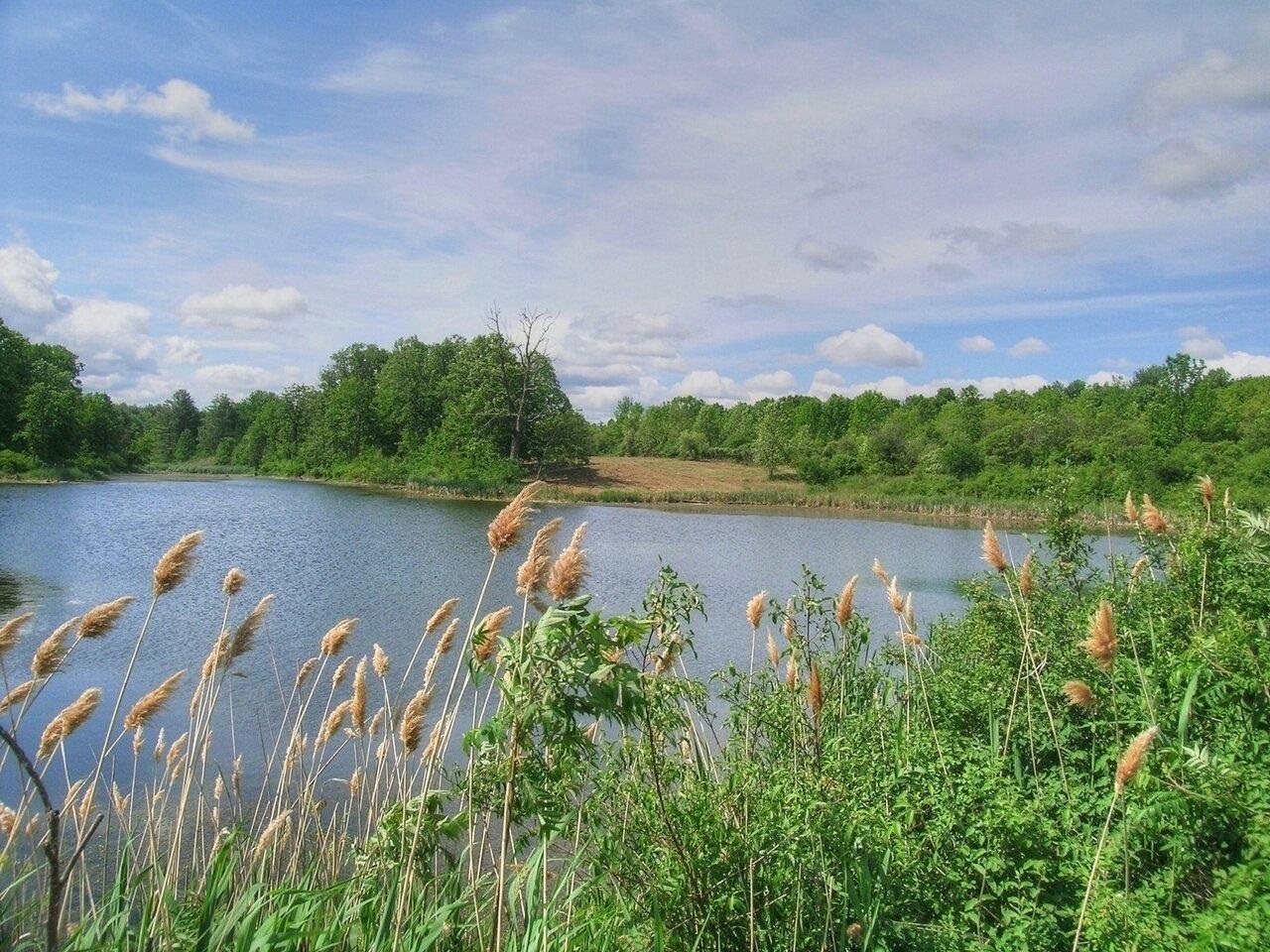 0 South Bingham Street