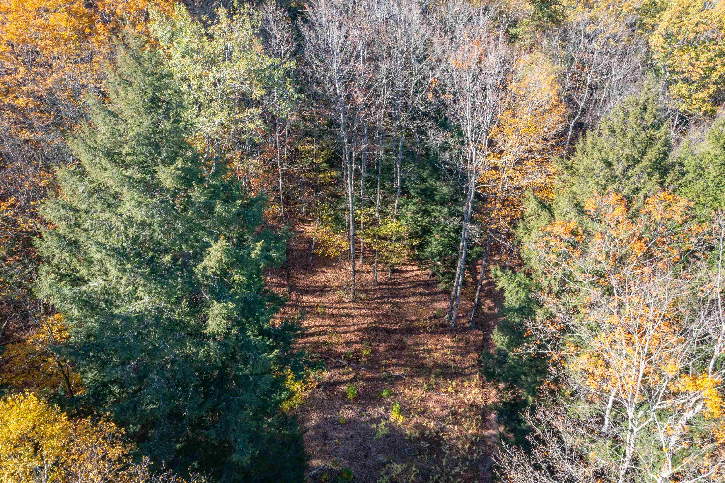 0 Wooley Pasture Road 36