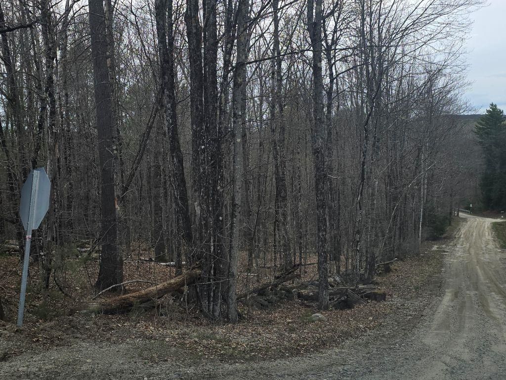 Photo of Copeland Road, Unity, NH 03603 (MLS # 5080125)