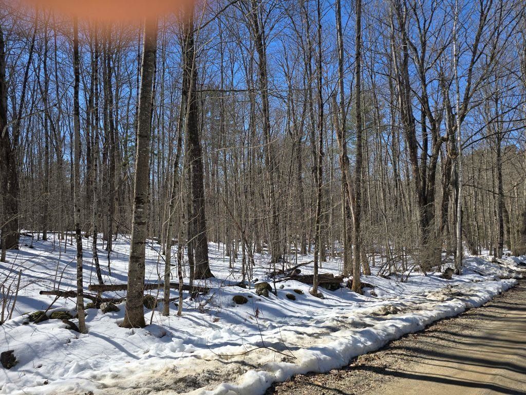 Photo of Copeland Road, Unity, NH 03603 (MLS # 5080125)