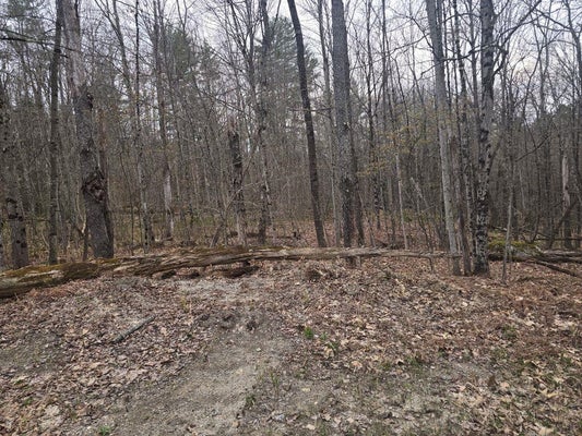 COPELAND BROOK RD, CHARLESTOWN, NH 03603 - Image 766e68020dce54a572bc3c8cbfb4cc1e/629699575