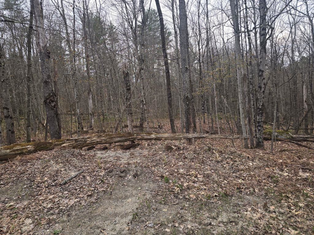 Photo of Copeland Road, Unity, NH 03603 (MLS # 5080125)