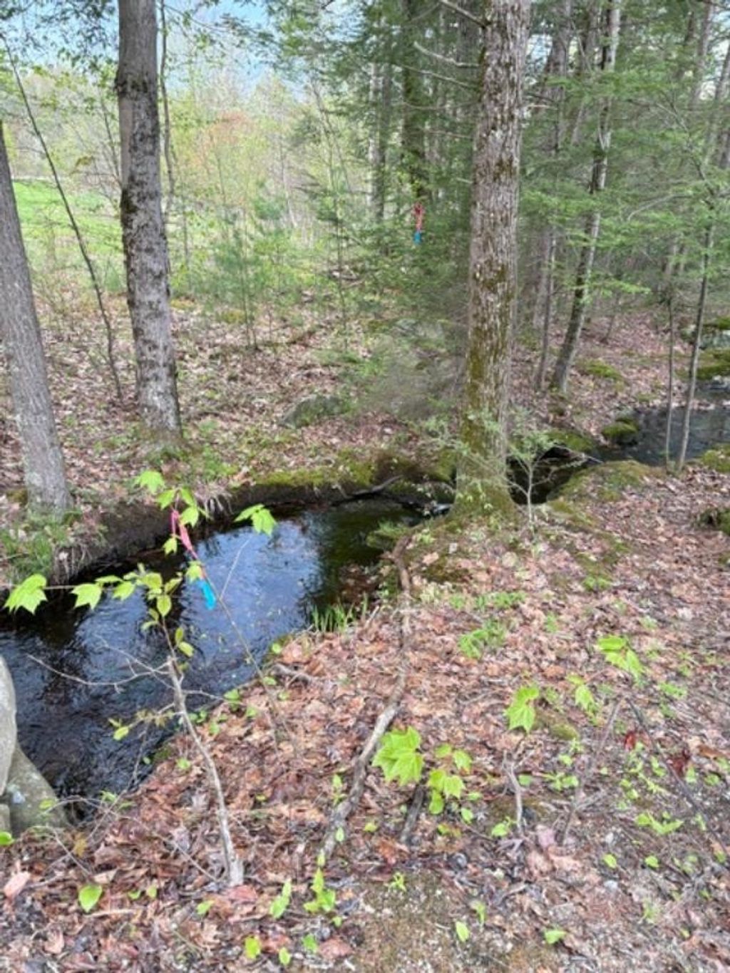 Photo of 191 Wilton Road, Mason, NH 03048 (MLS # 5089291)