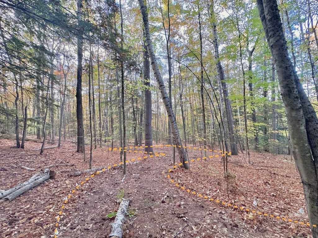 Photo of 100 Hodgeman Hiill Road, Campton, NH 03223 (MLS # 5066320)