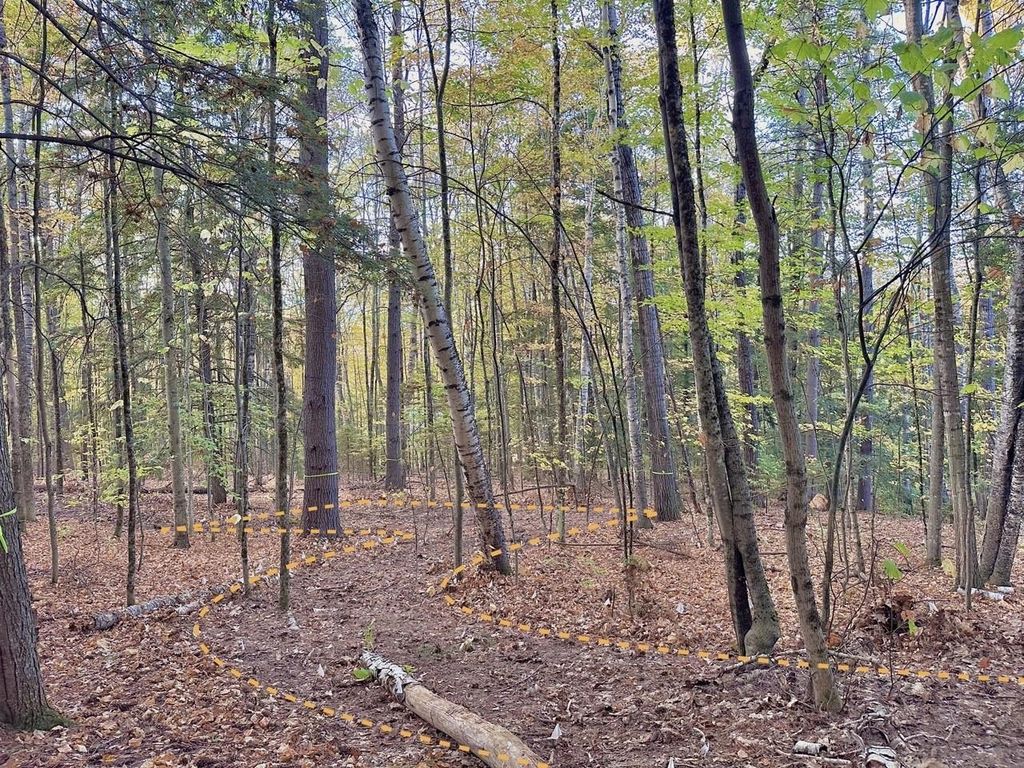 Photo of 100 Hodgeman Hiill Road, Campton, NH 03223 (MLS # 5066320)