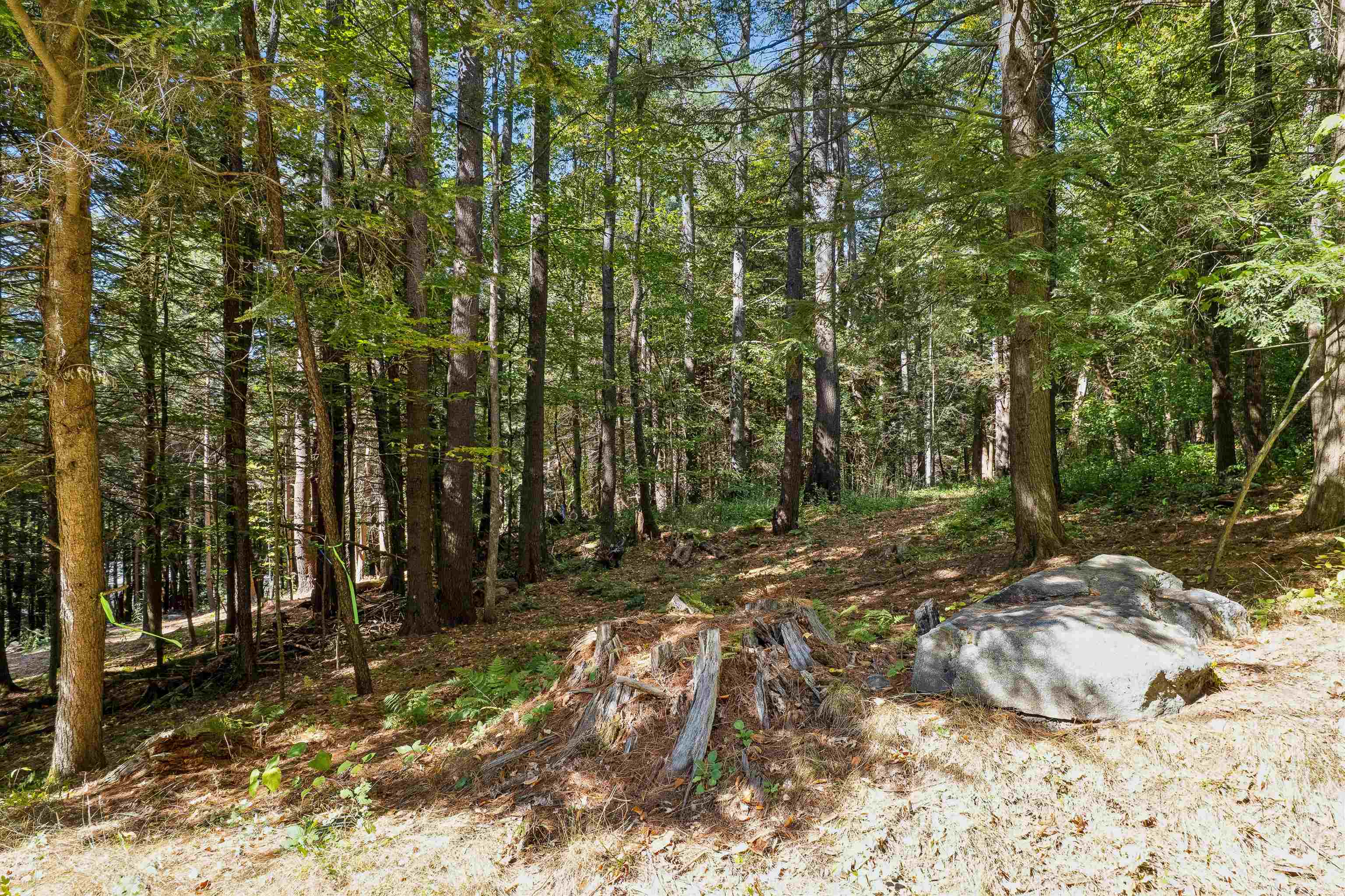 0 and 2.5 Balch Hill Lane