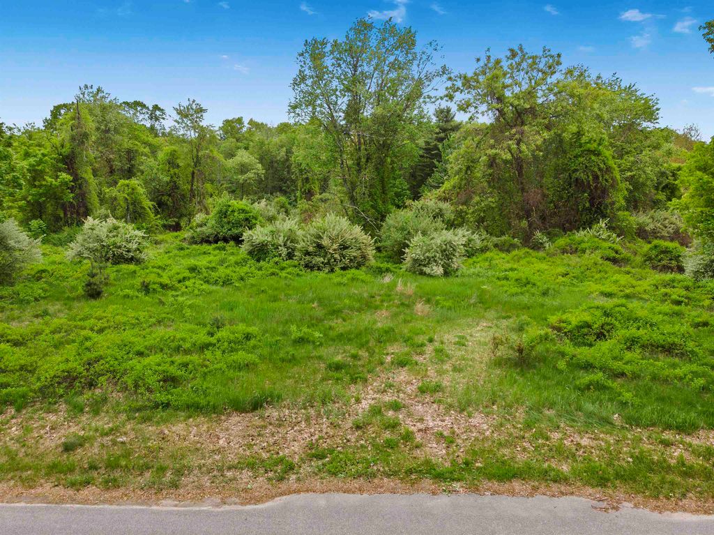 Photo of 103 Mack Hill Road, Amherst, NH 03031 (MLS # 5083586)