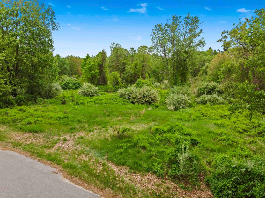 Photo of 103 Mack Hill Road, Amherst, NH 03031 (MLS # 5083586)