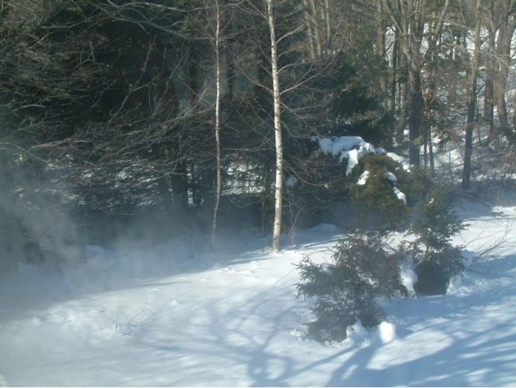 Photo of 242 Rockingham Road, Derry, NH 03038 (MLS # 2756127)