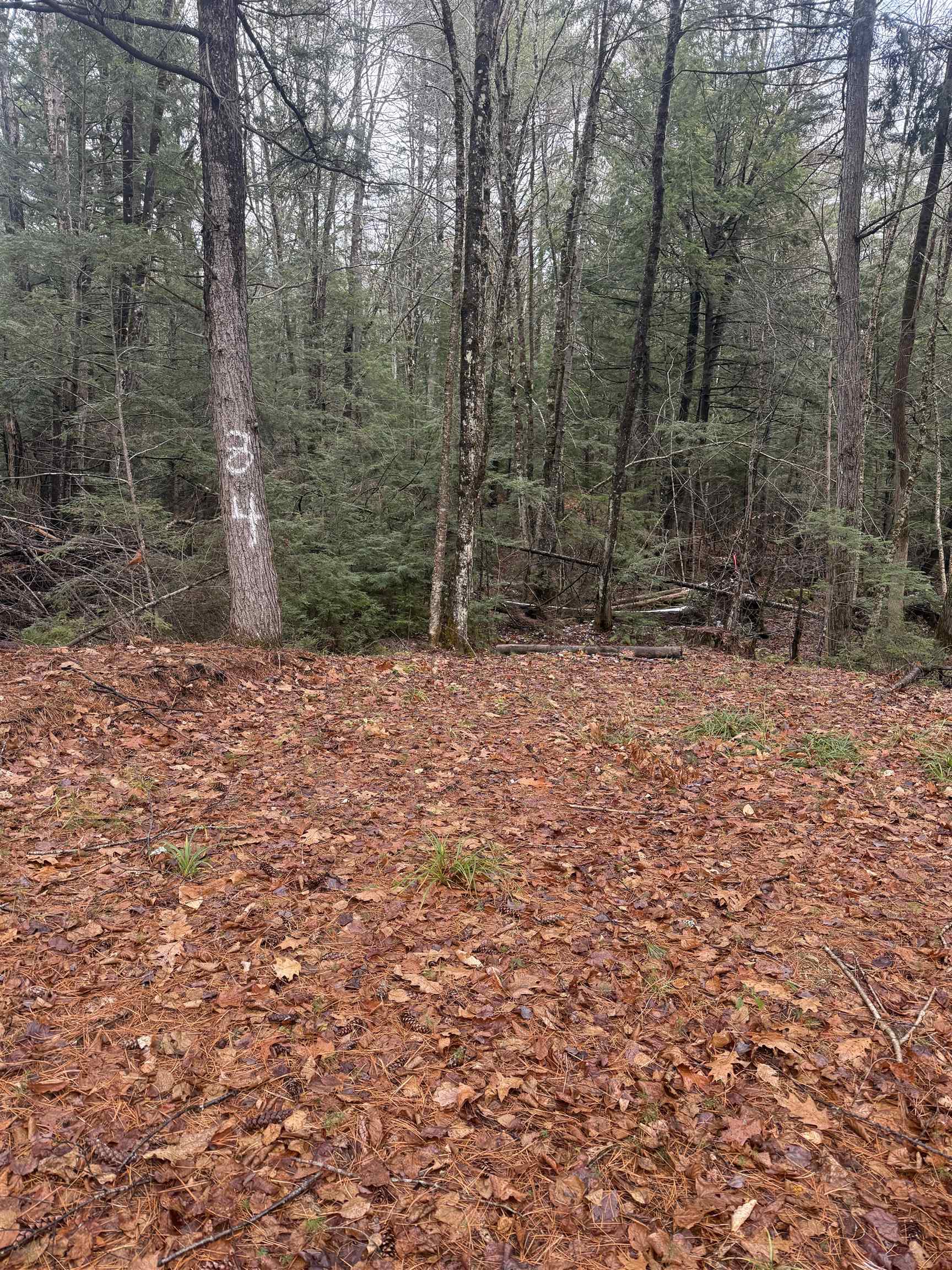 00 Partridge Hill Road 84