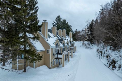 1C Townhouse Square 7 Dover VT 05356