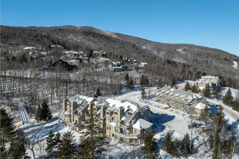 13 Daybreak Drive E103 Ludlow VT 05149