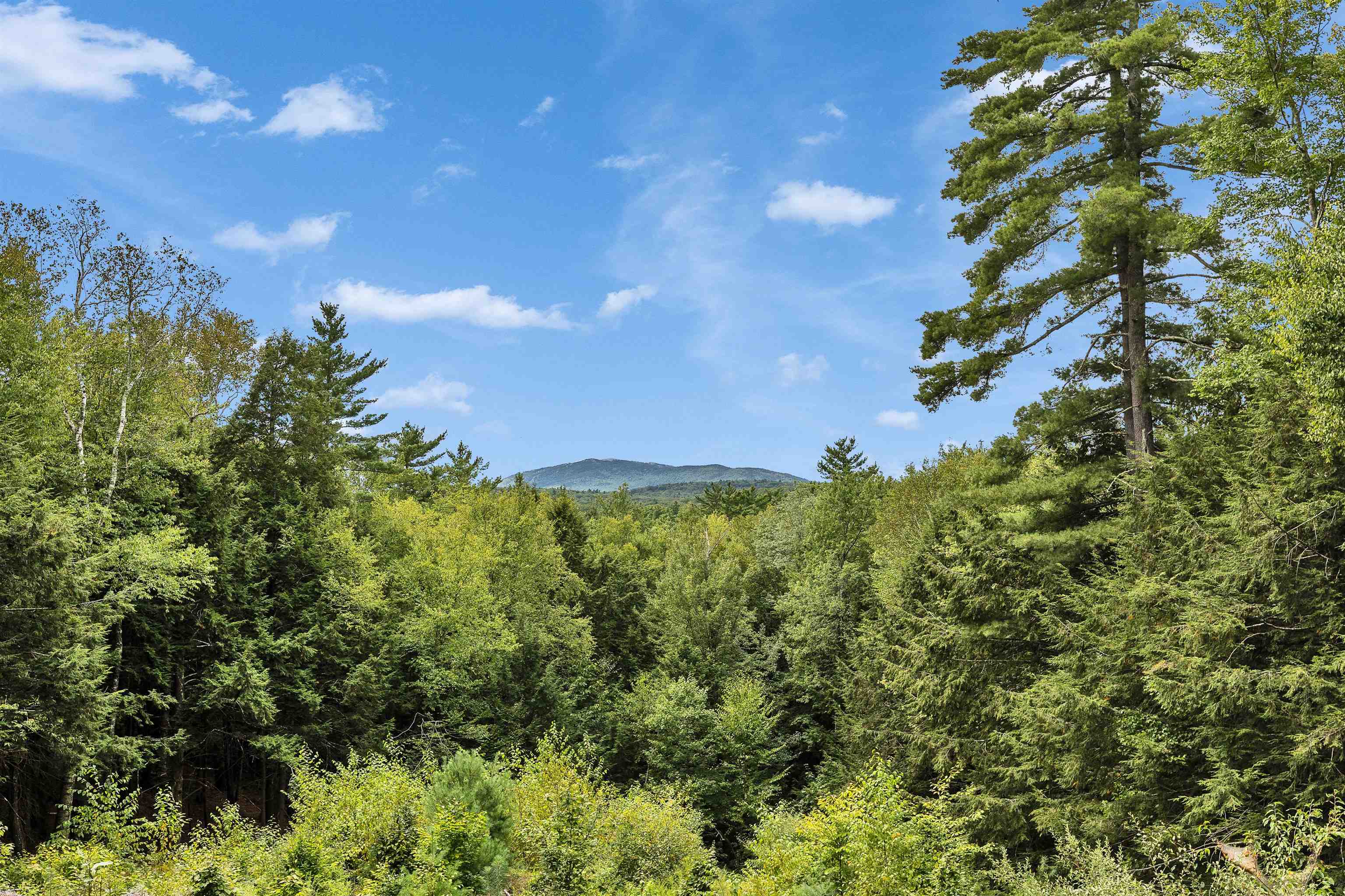 213 Brush Brook Road