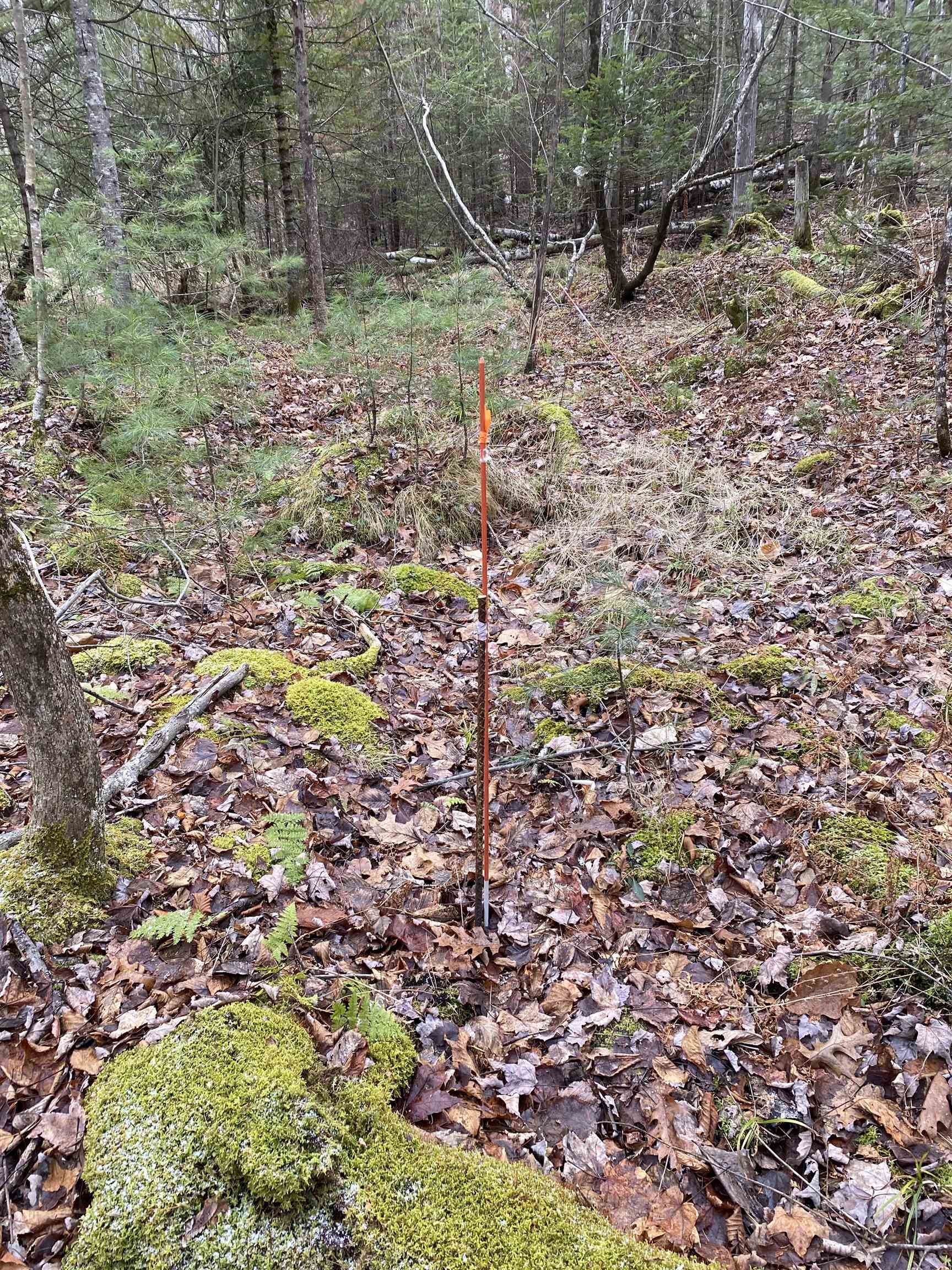 84 Vernon Drive Also Lots # 103 and 104 on Oak Circle