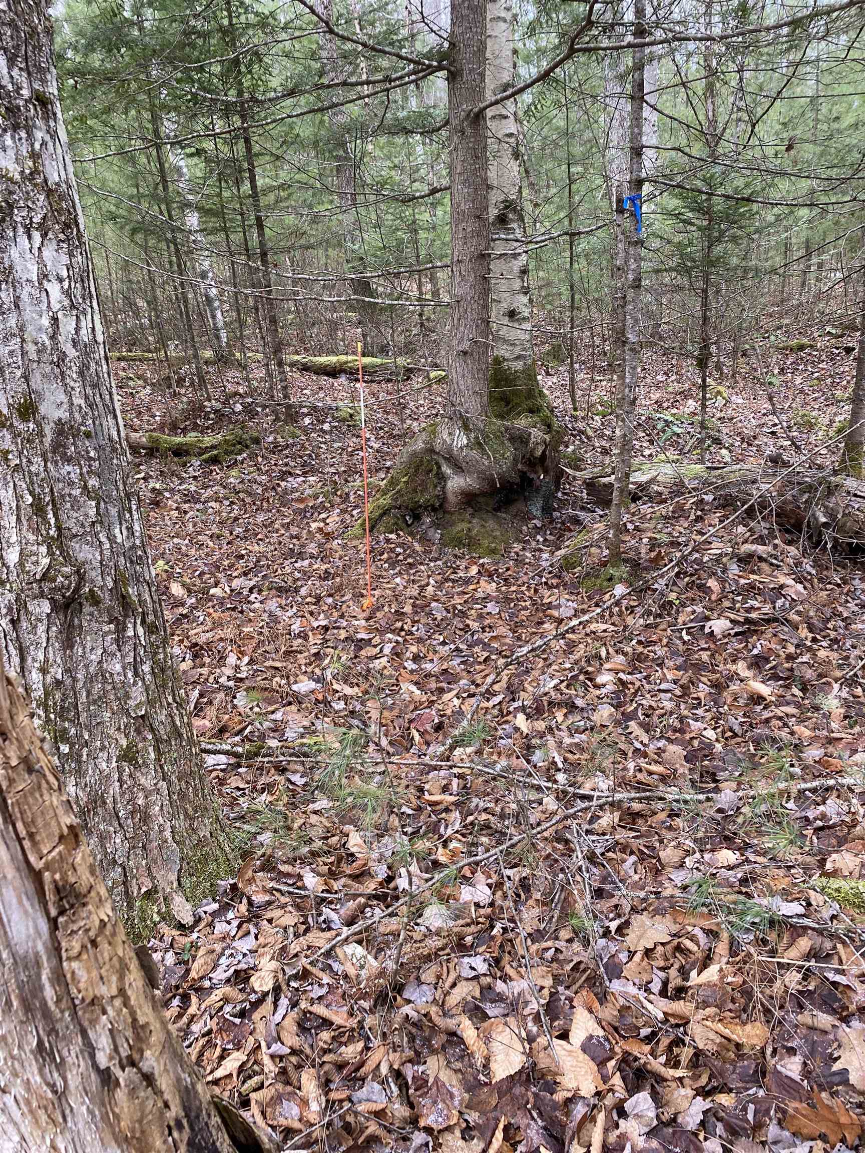 84 Vernon Drive Also Lots # 103 and 104 on Oak Circle