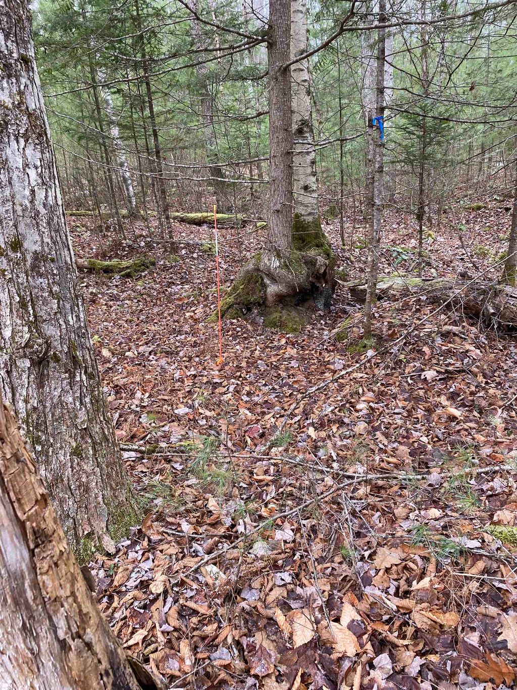 Photo of 84 Vernon Avenue #Also Lots  103 and, Haverhill, NH 03765 (MLS # 5071317)