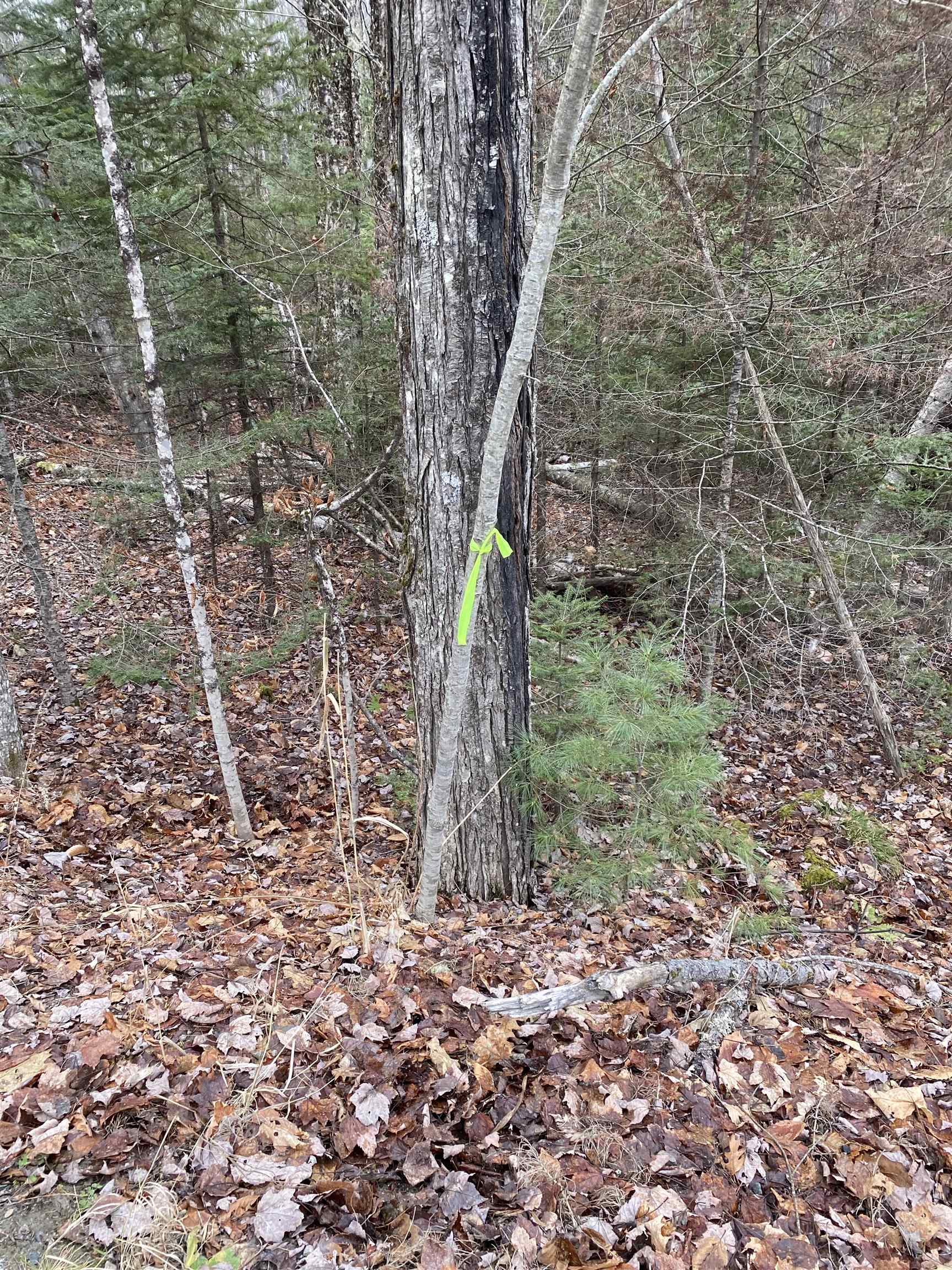 84 Vernon Drive Also Lots # 103 and 104 on Oak Circle