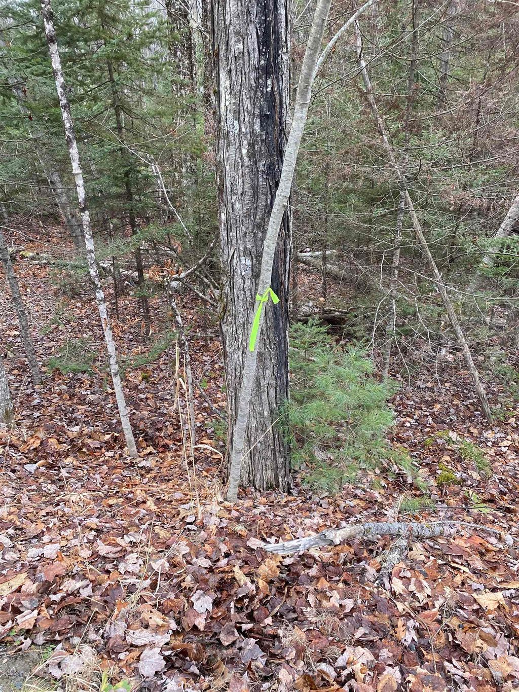 Photo of 84 Vernon Avenue #Also Lots  103 and, Haverhill, NH 03765 (MLS # 5071317)