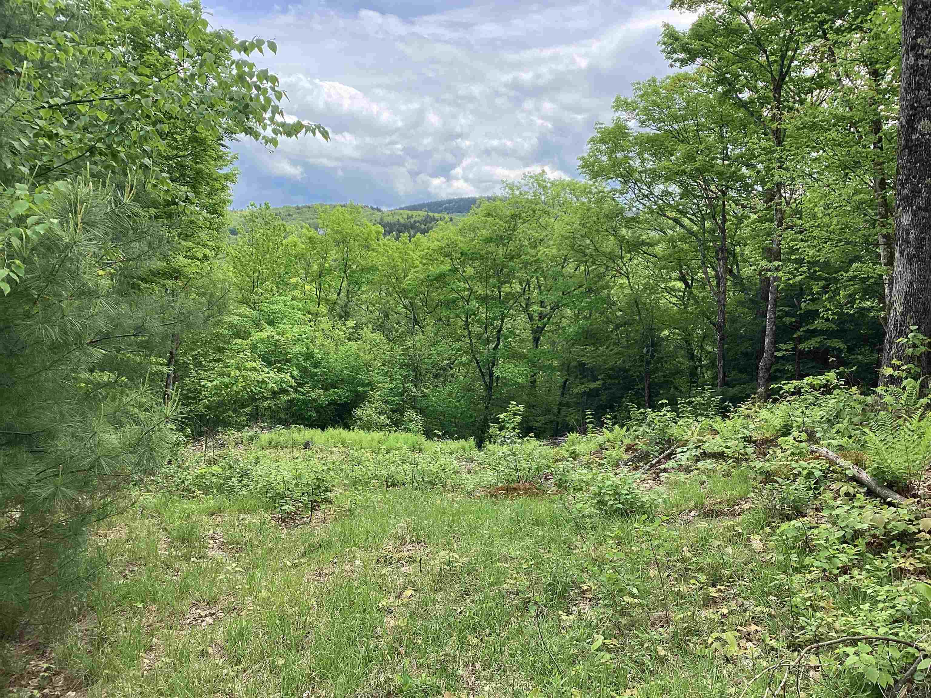 Lot 1 Pegwood Road