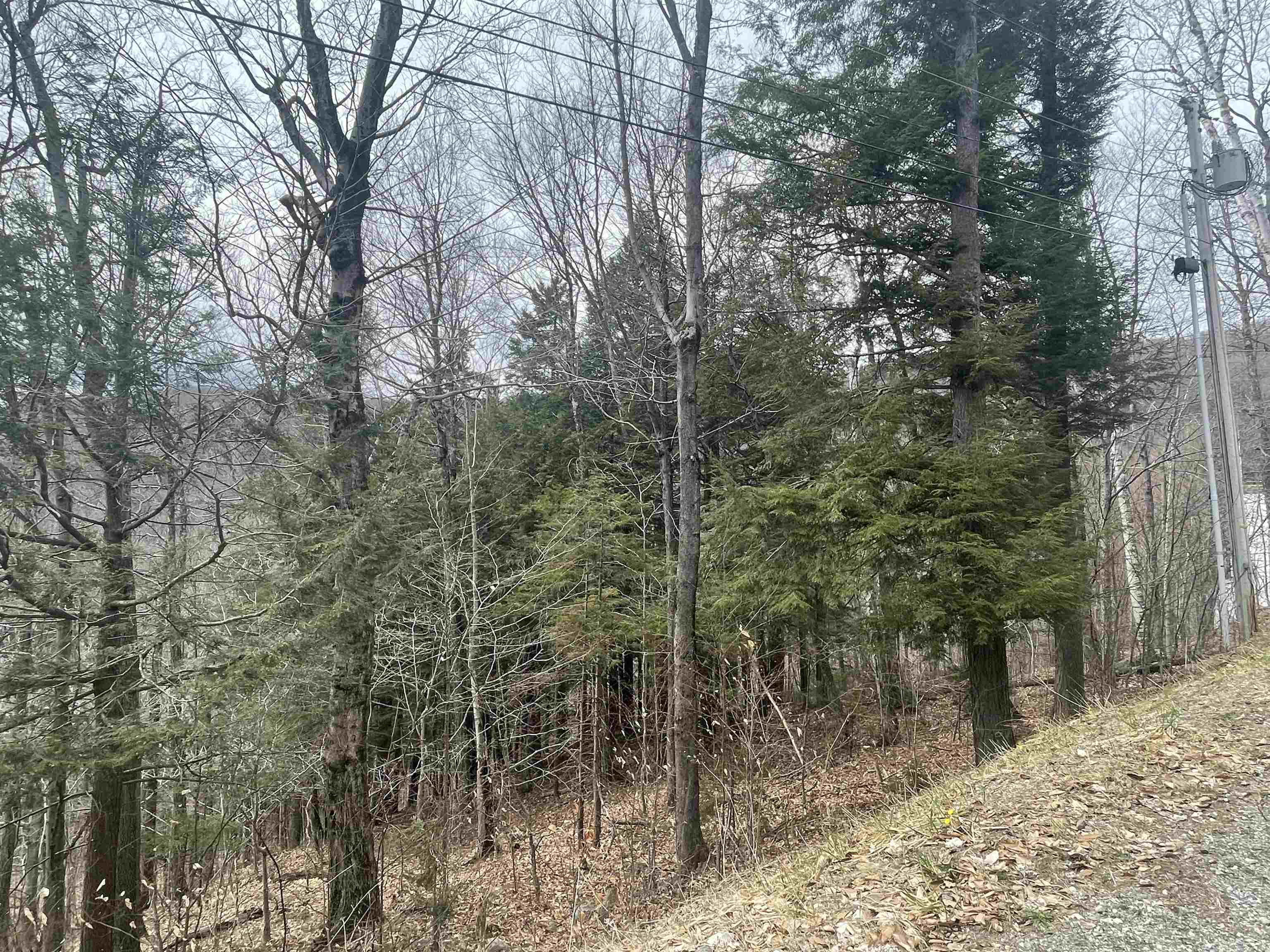 2-49 East Ash Road