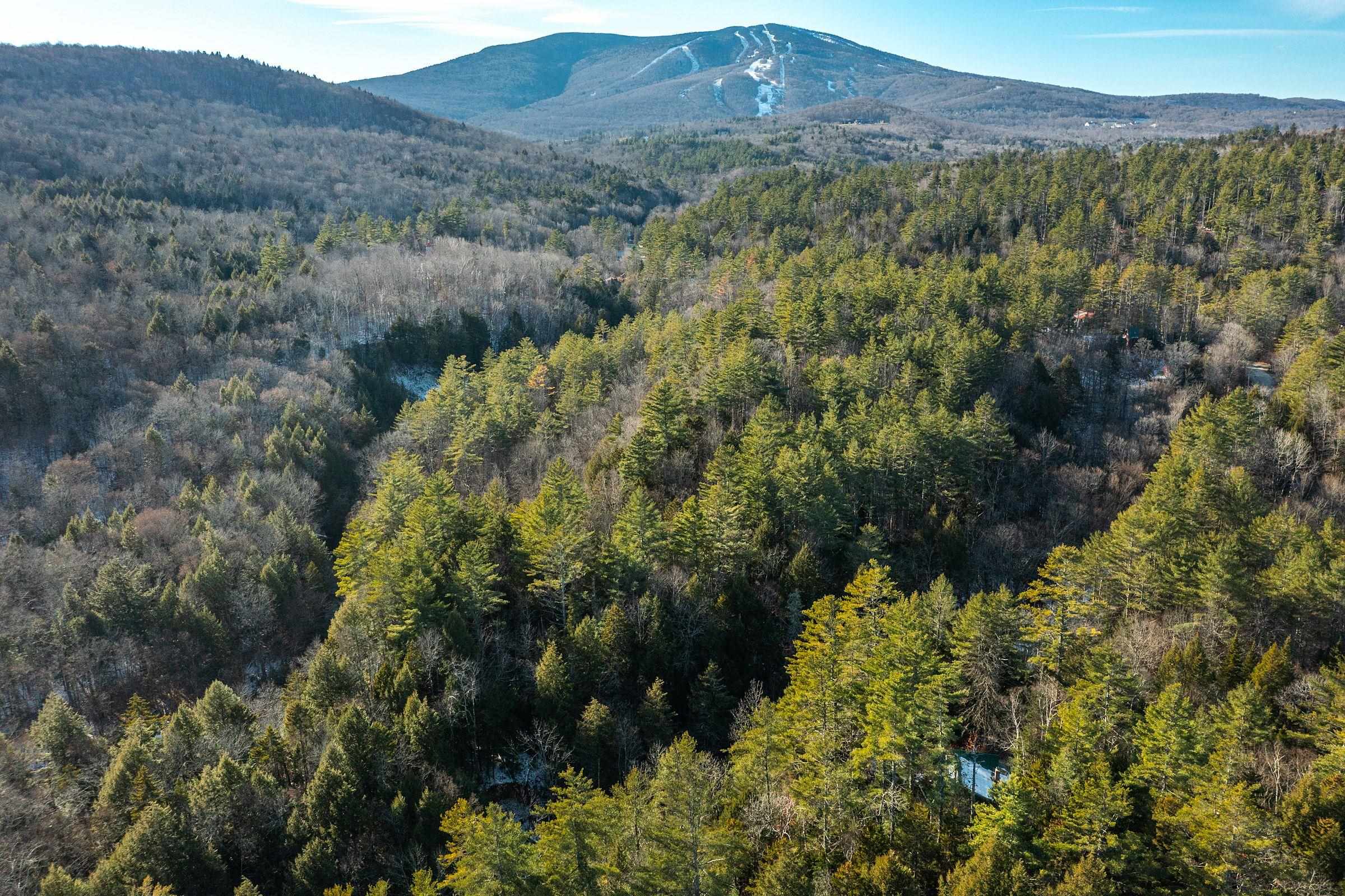 4410 Pikes Falls Road