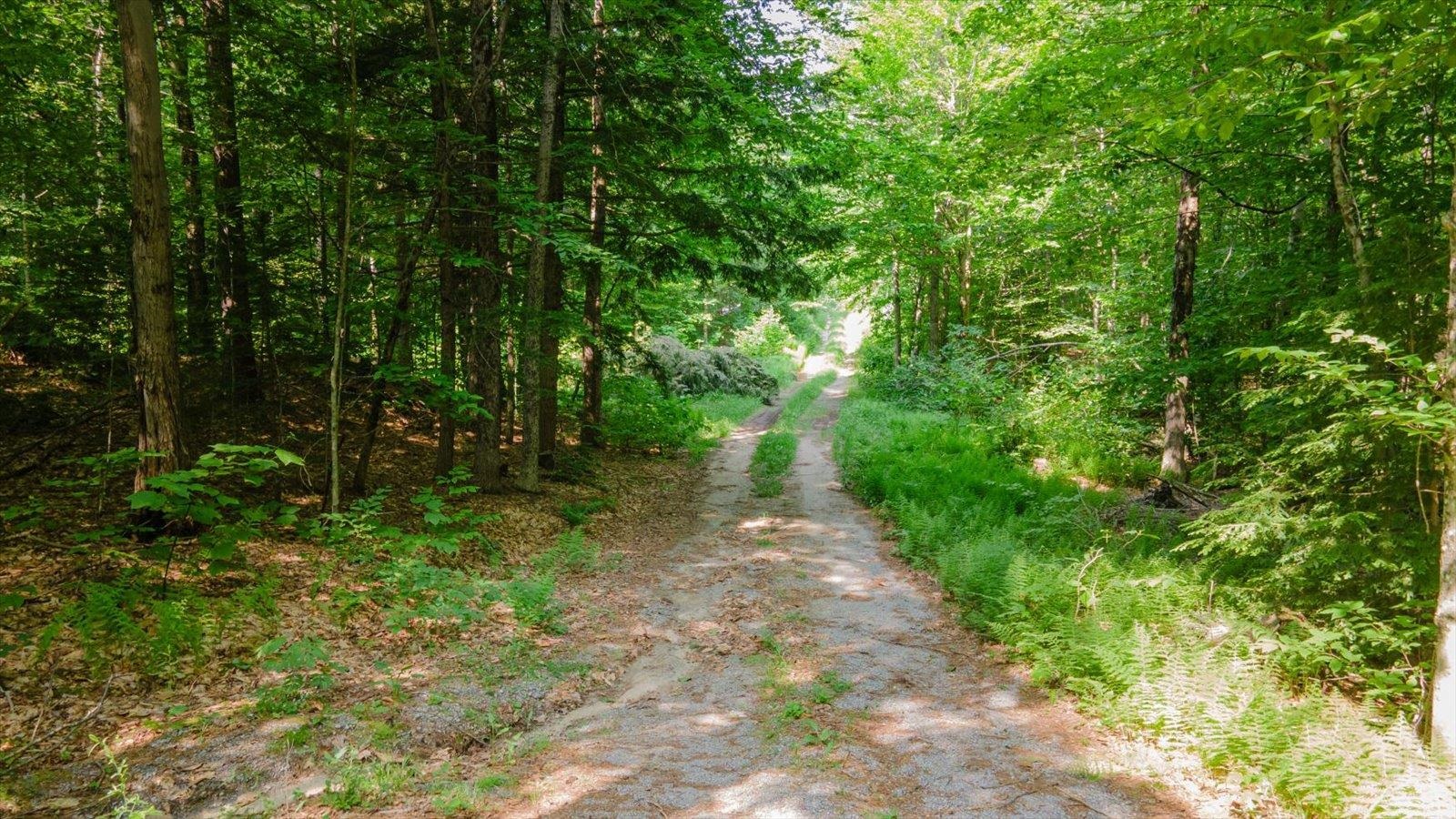 127 Salmon Brook Road