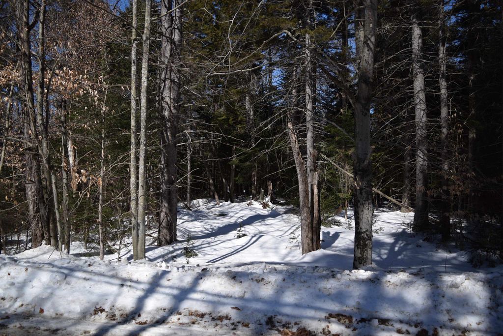 Photo of 141 Presidential Drive, Washington, NH 03280 (MLS # 5078170)