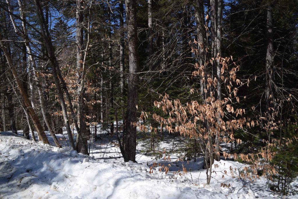 Photo of 141 Presidential Drive, Washington, NH 03280 (MLS # 5078170)