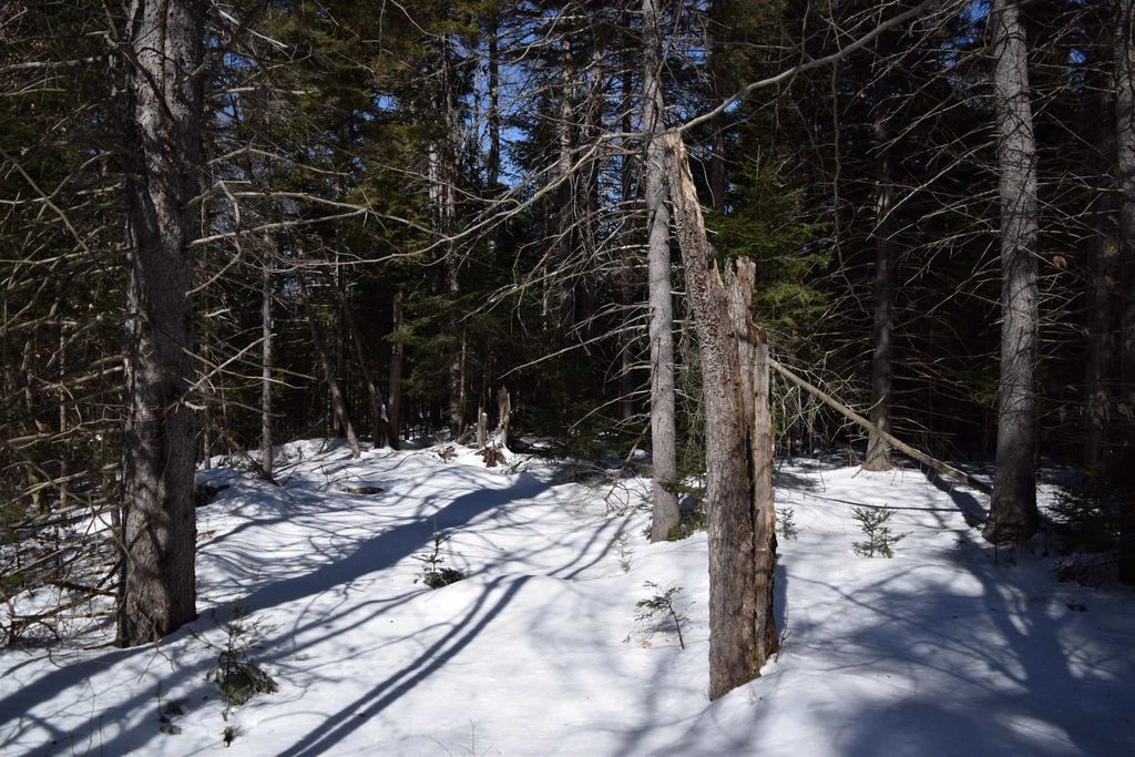 Photo of 141 Presidential Drive, Washington, NH 03280 (MLS # 5078170)