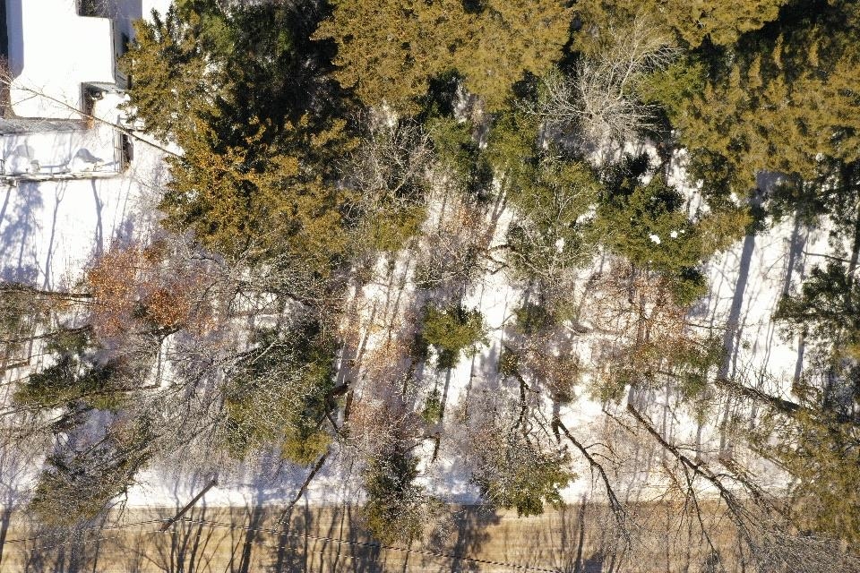 Lot 141 Presidential Drive