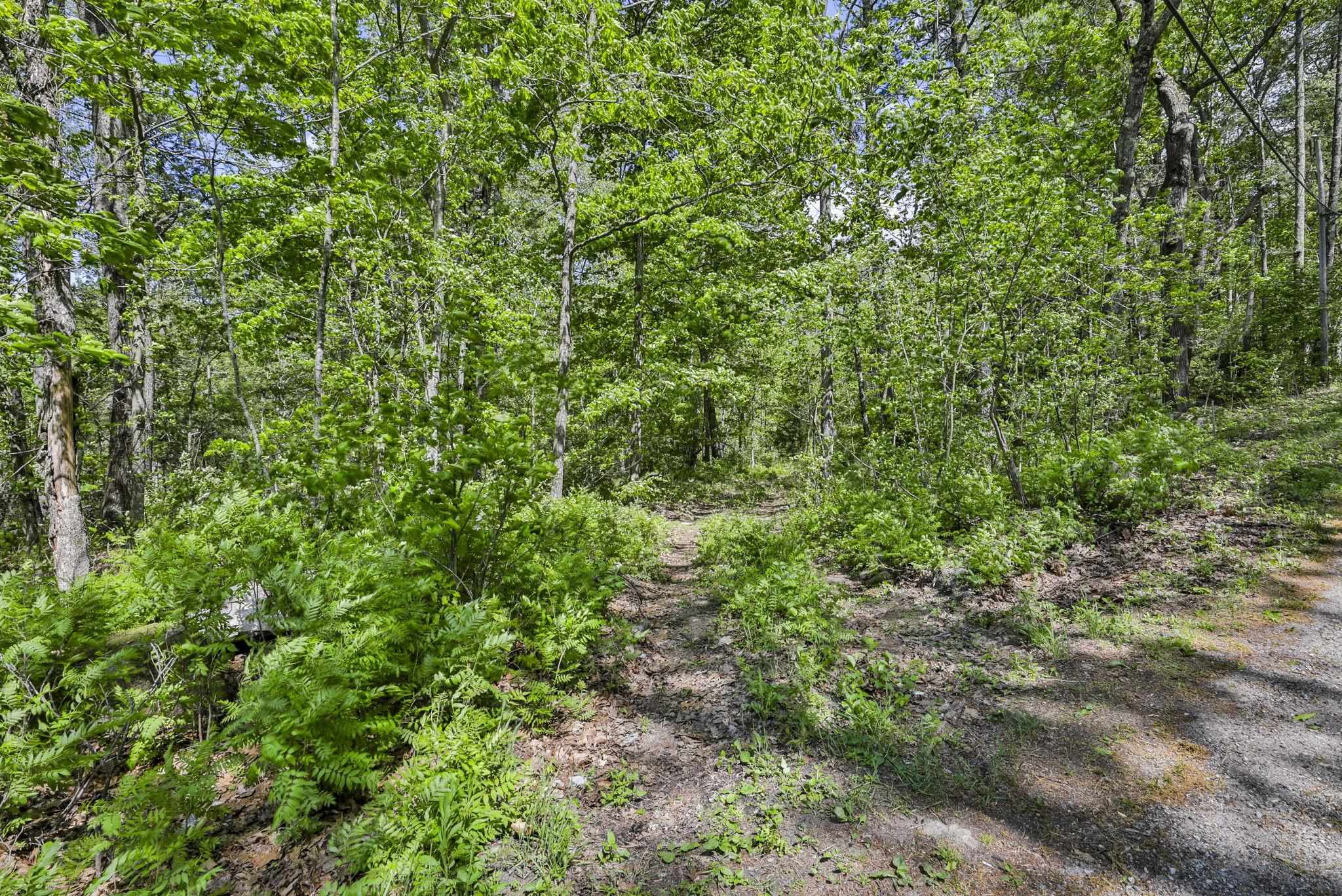 2A & 2B Camp Road