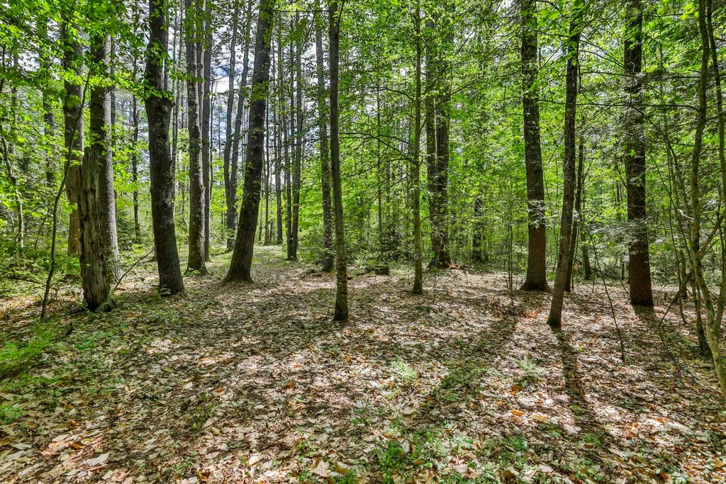 Photo of 22 Camp Road, Amherst, NH 03031 (MLS # 5090144)