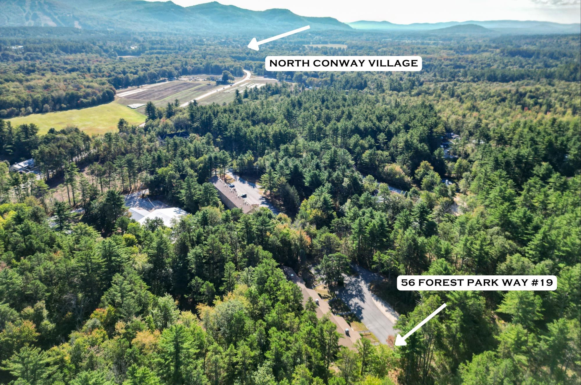 56 Forest Park Way 19