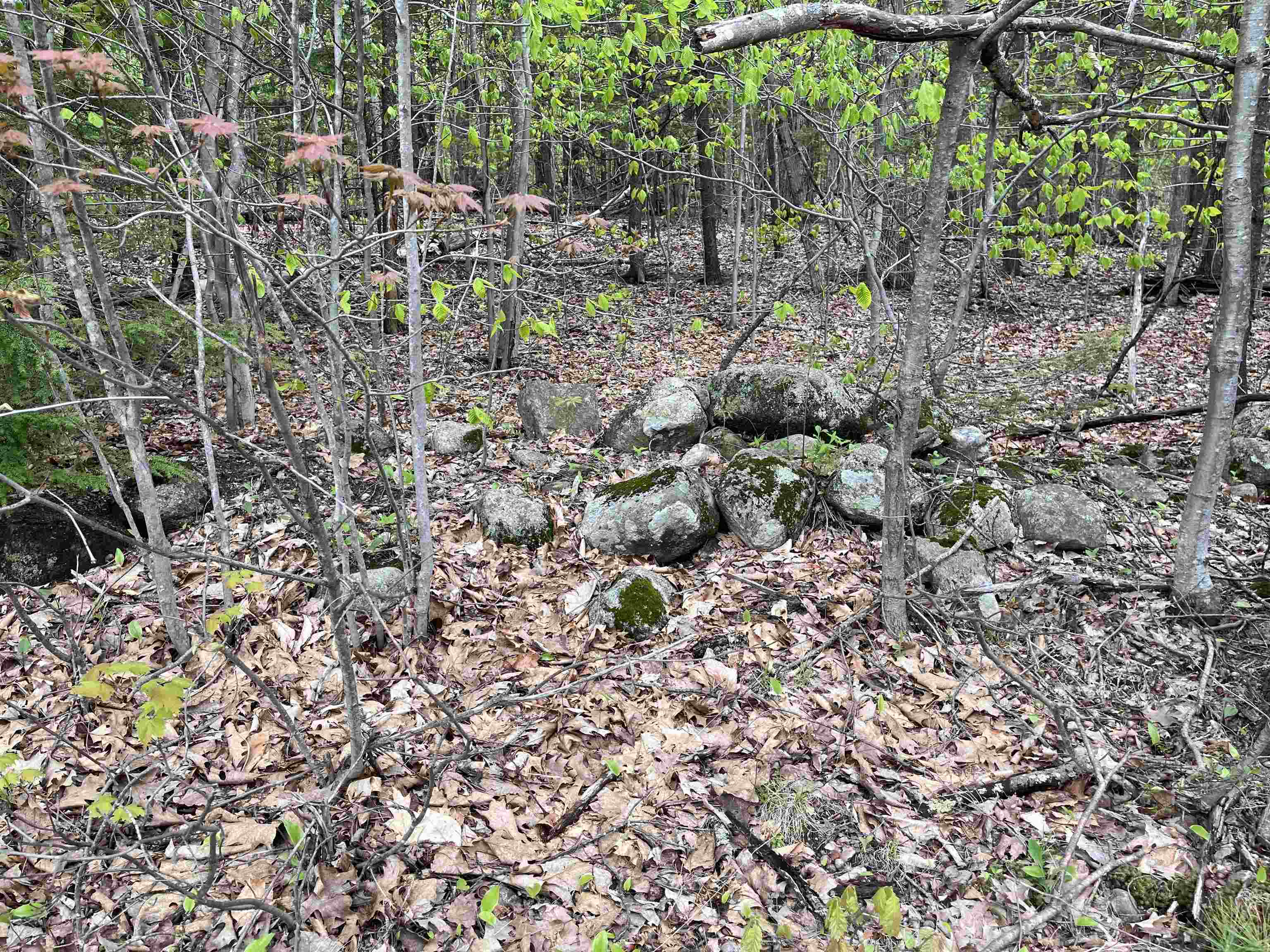 Lot 81 Plumer Hill Road