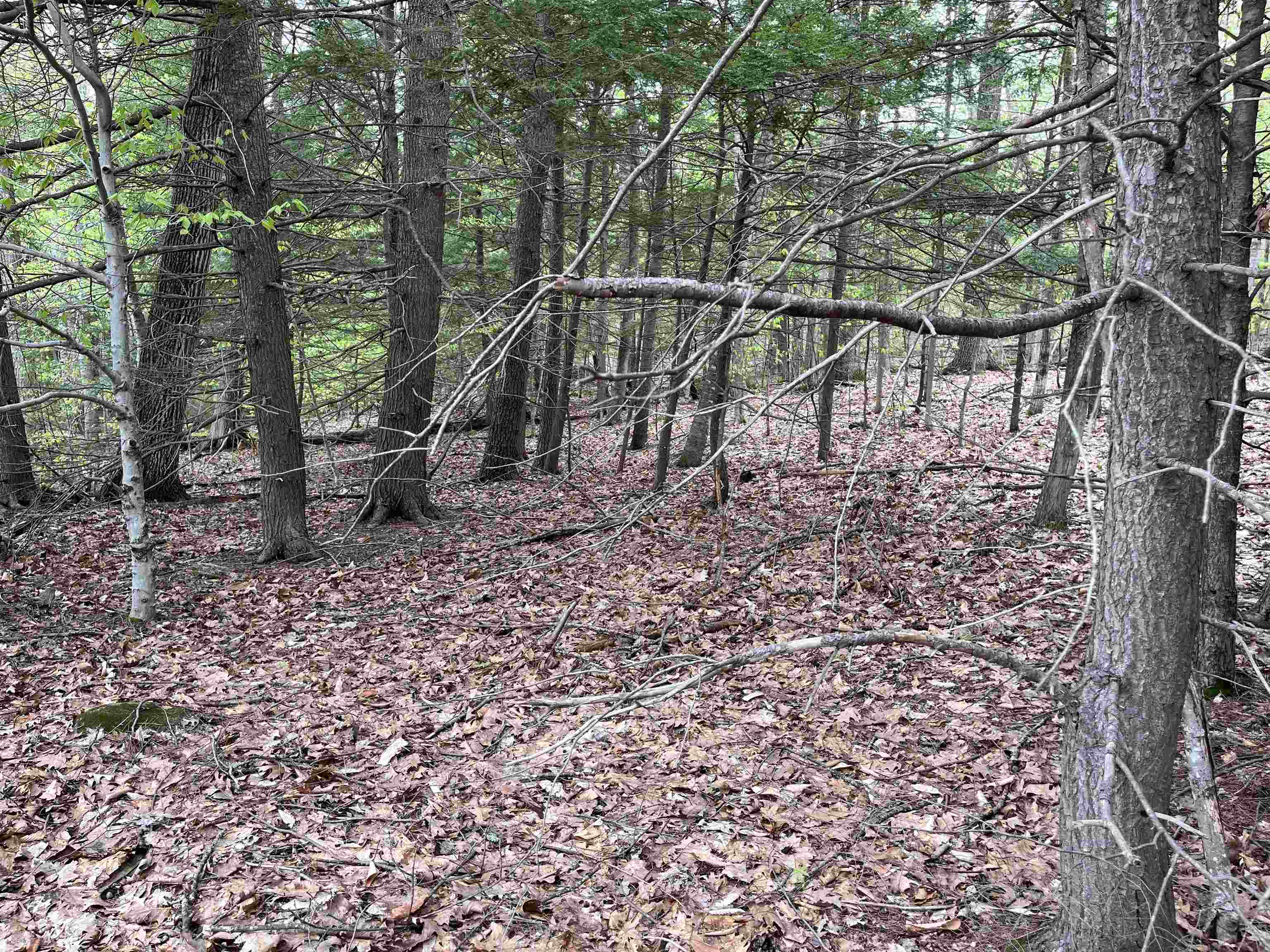 Lot 81 Plumer Hill Road