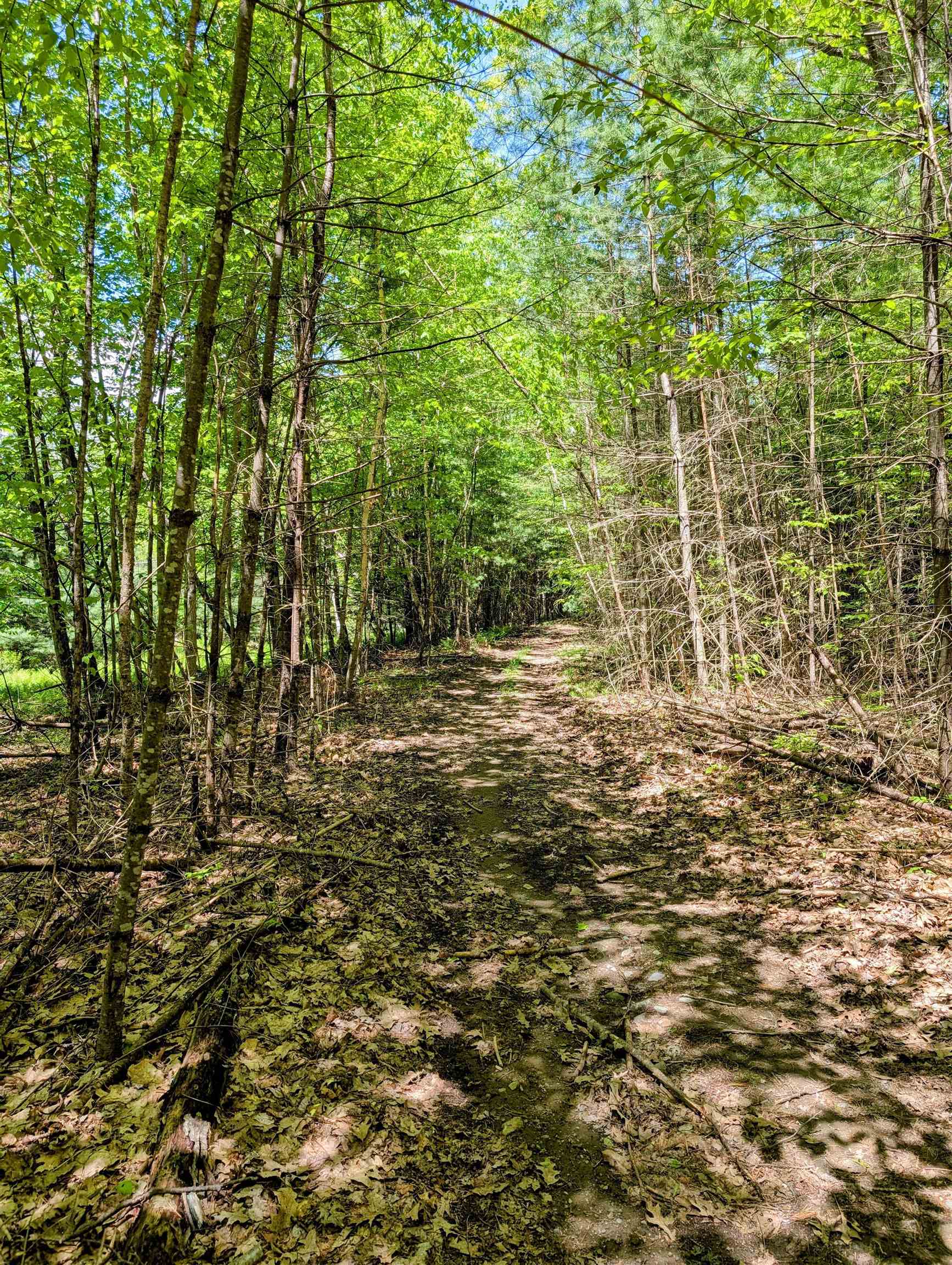Lot 101 Wildwood Road