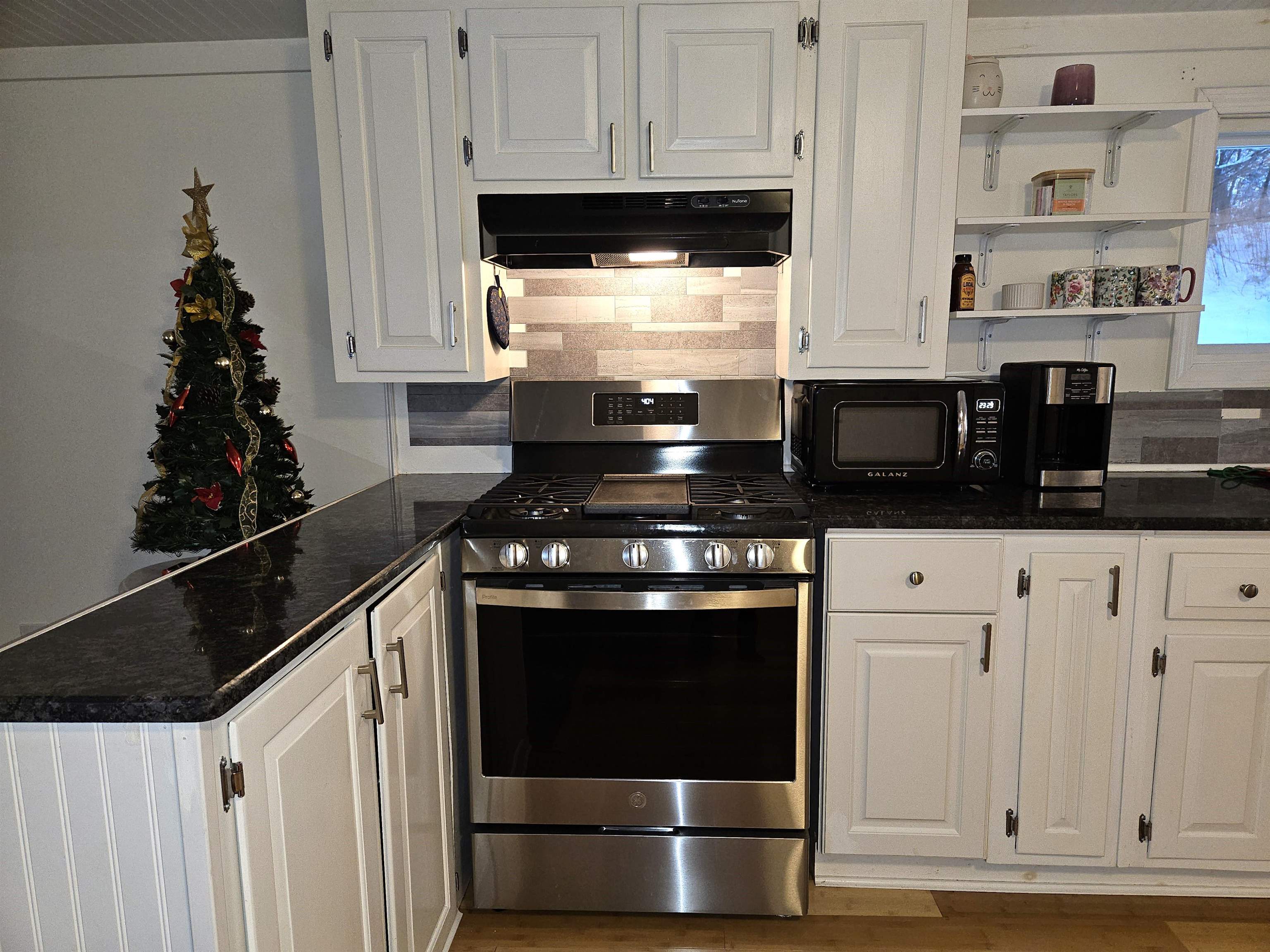 1025 Mountainview Avenue