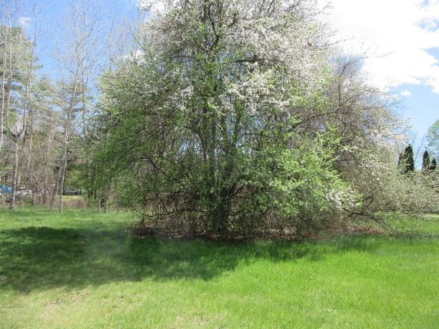 58 Fisherville Road