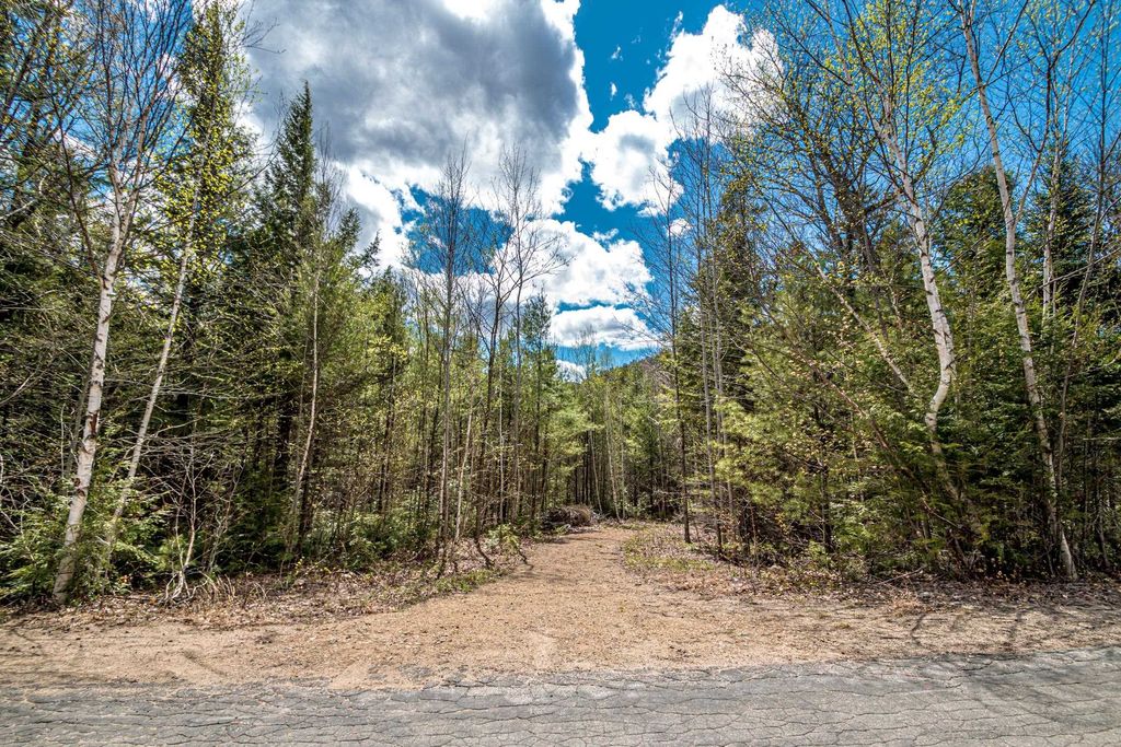 Photo of 28 Stanton Farm Road, Bartlett, NH 03812 (MLS # 5088077)