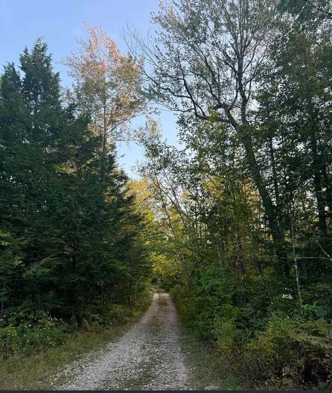 8 Horn Brook Road Middleton NH 03887