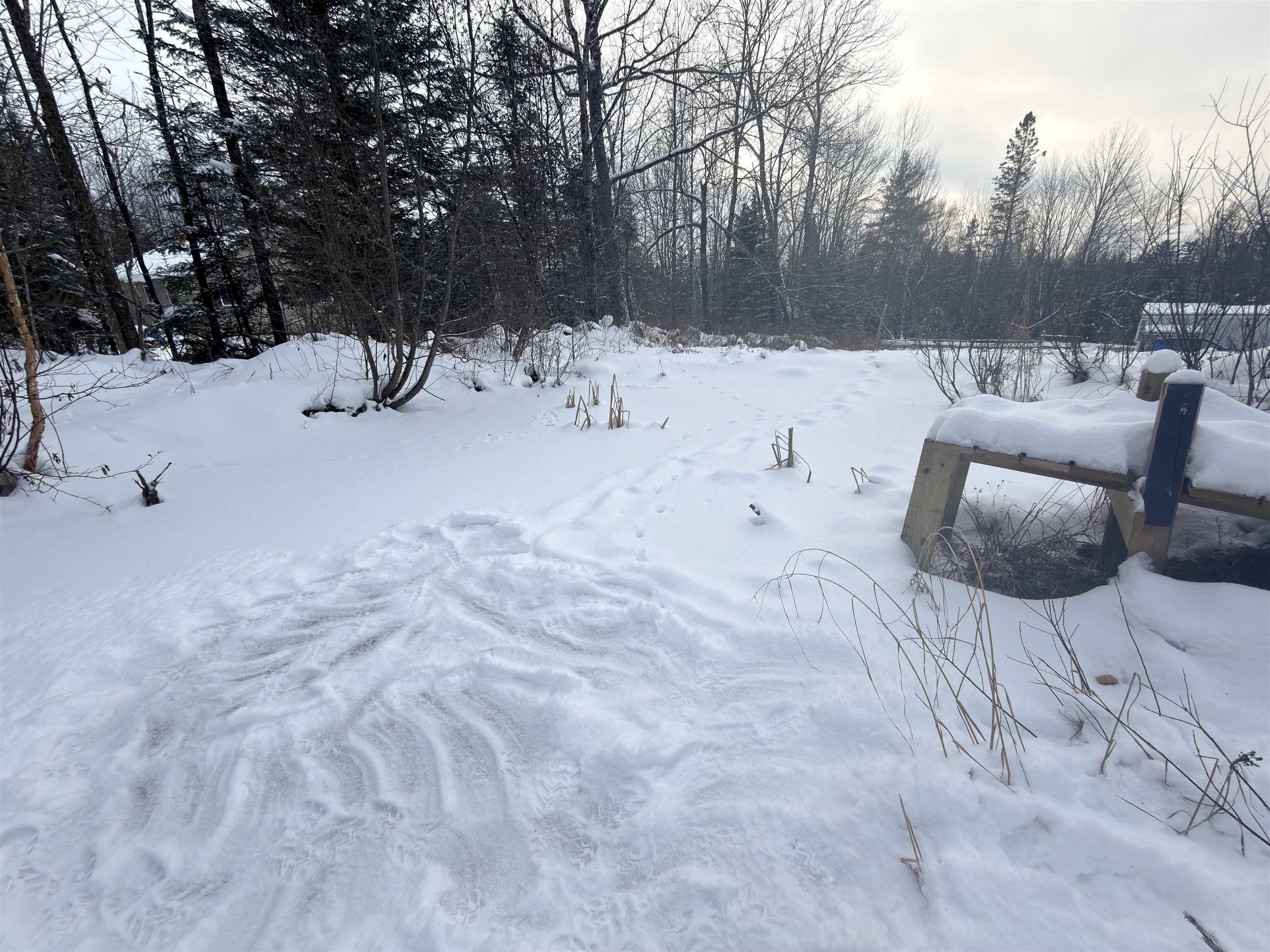 558 Lost Nation Road