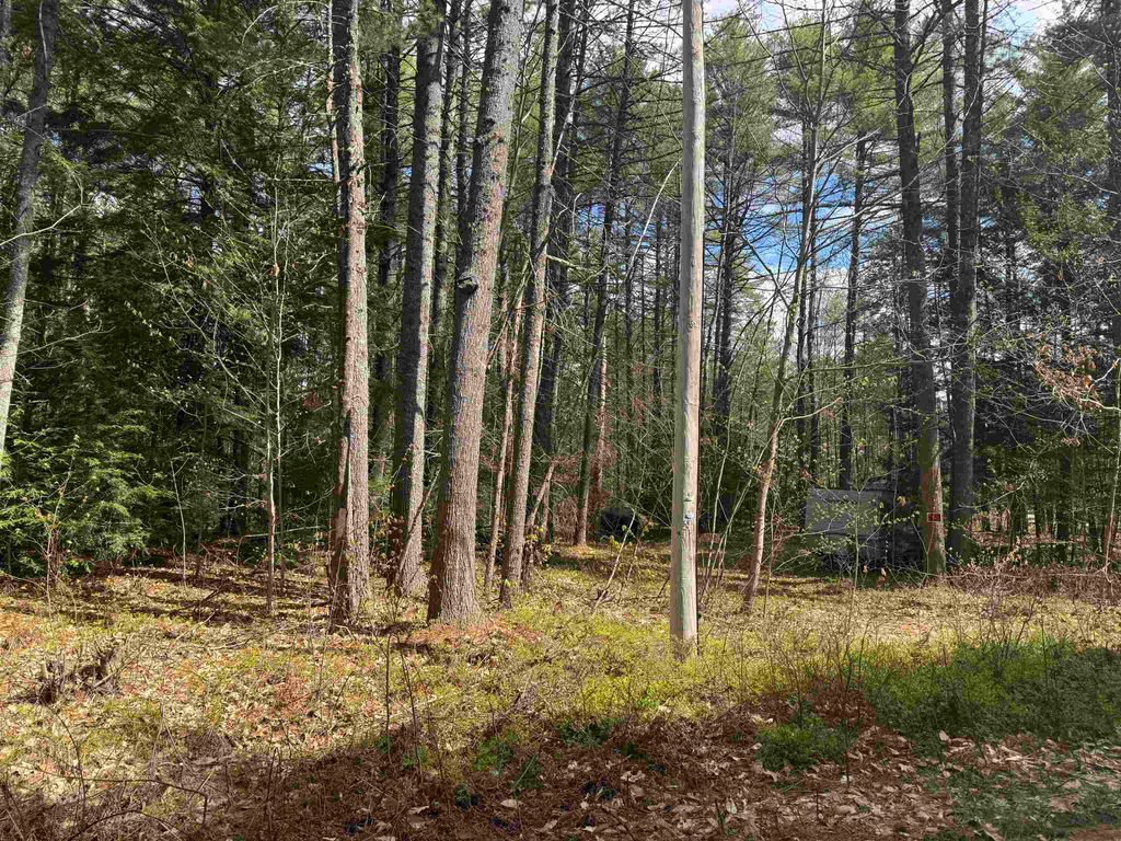 Photo of 0 Riverwood Circle #12, Effingham, NH 03882 (MLS # 5087821)