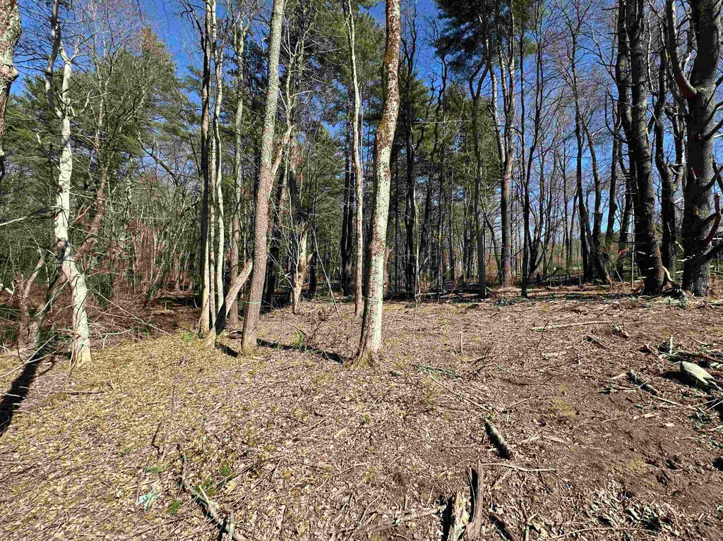 Photo of 22 Hilliard Road, Kensington, NH 03833 (MLS # 5085275)