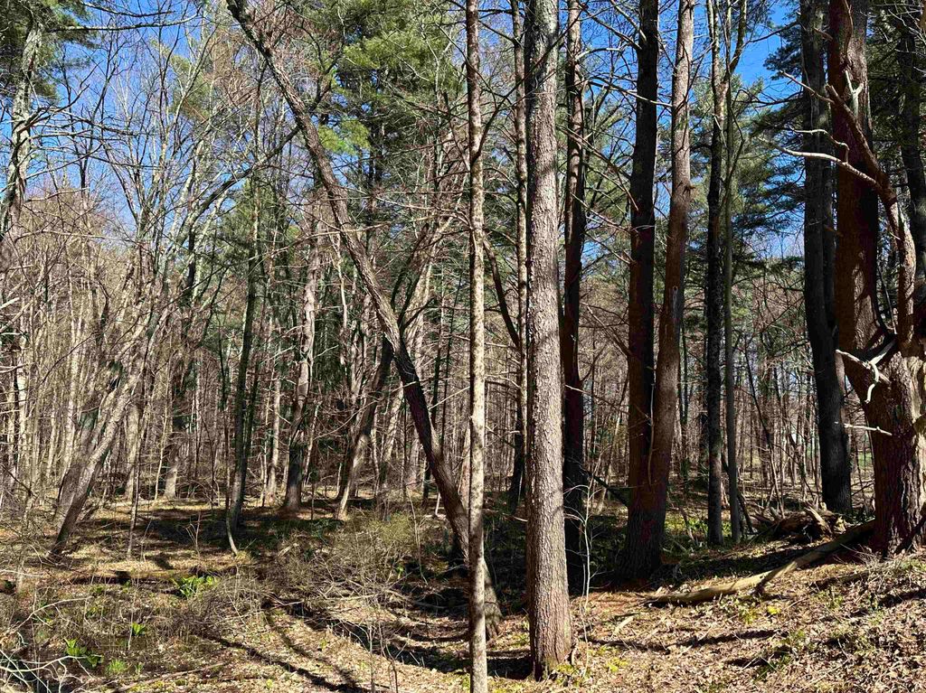 Photo of 22 Hilliard Road, Kensington, NH 03833 (MLS # 5085275)